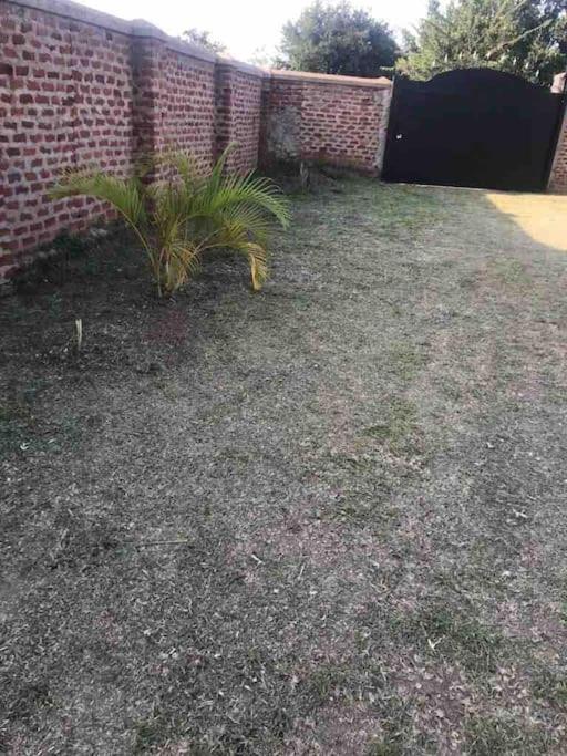 Photo 45