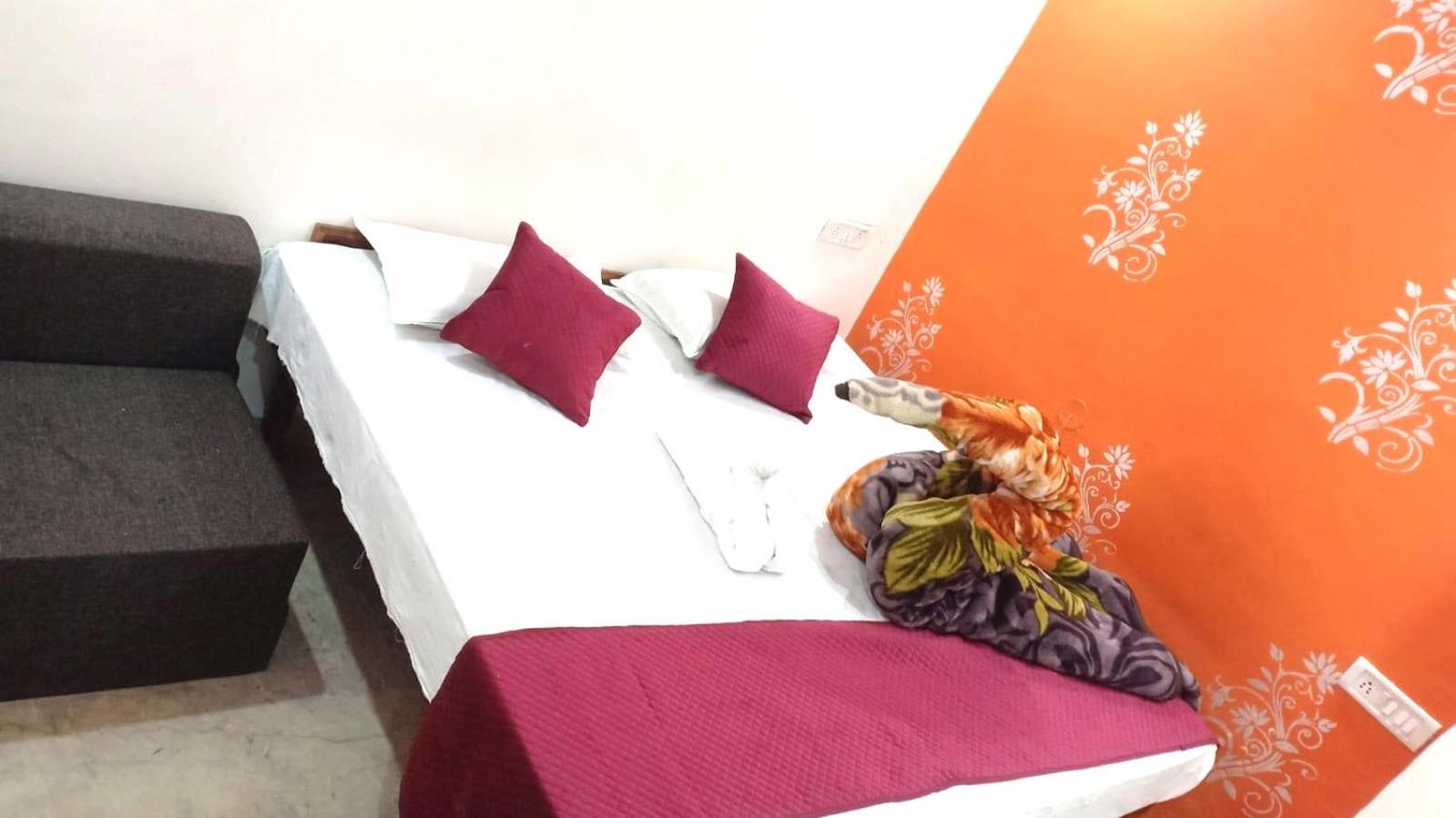 Hotel Royal Pinkcity view 3