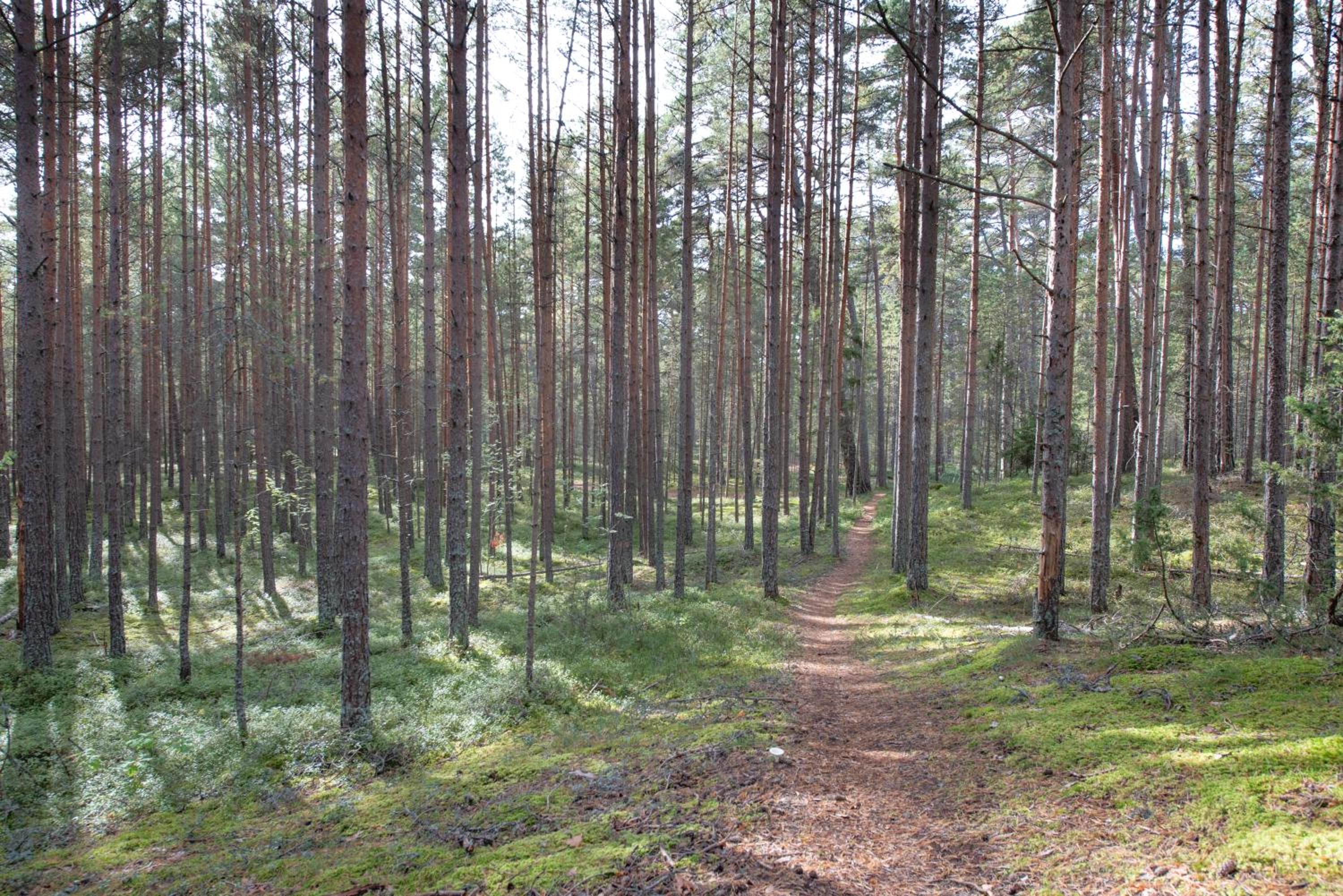 Photo 29