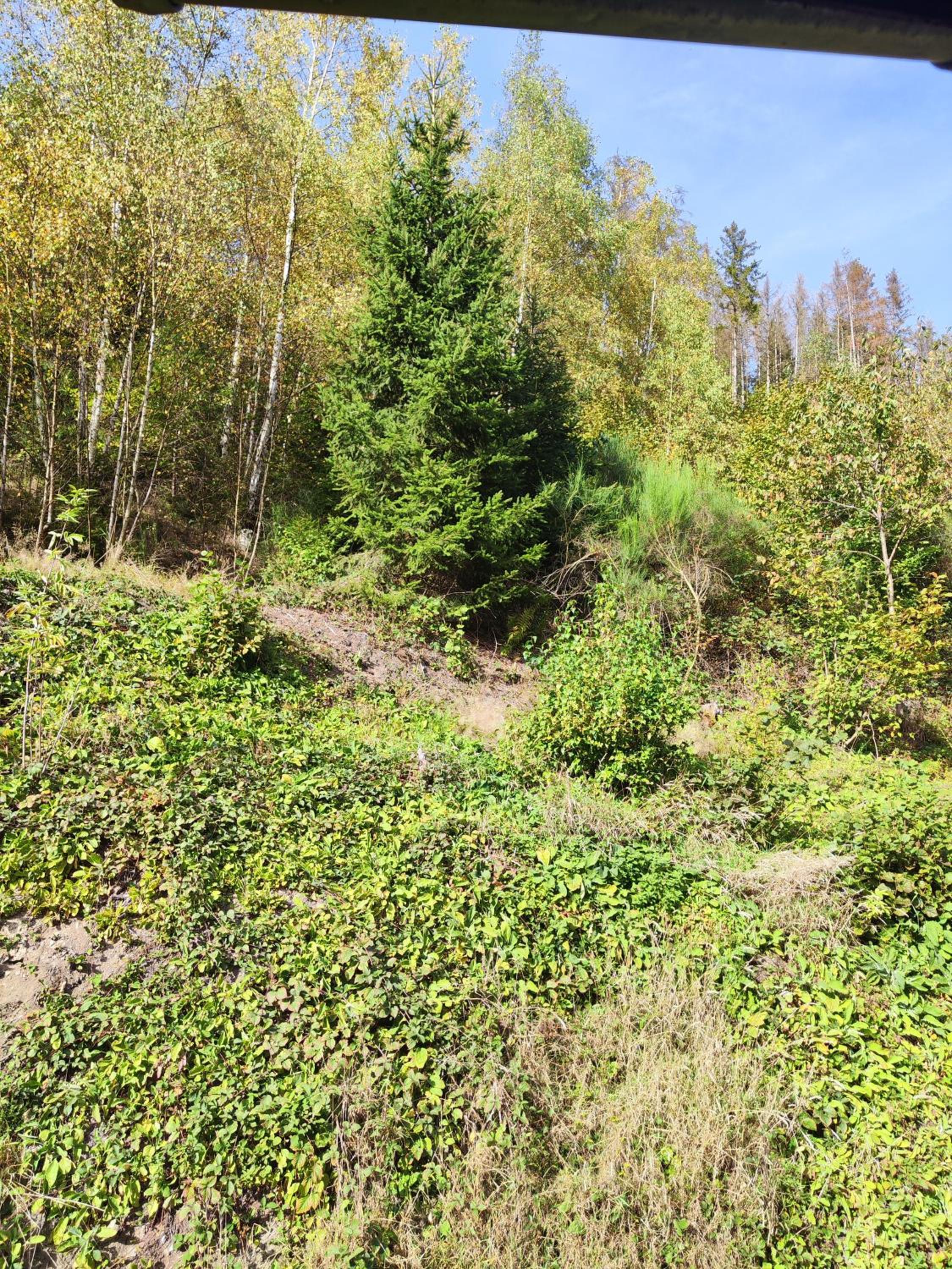 Wohlfühloase Eifelsteig