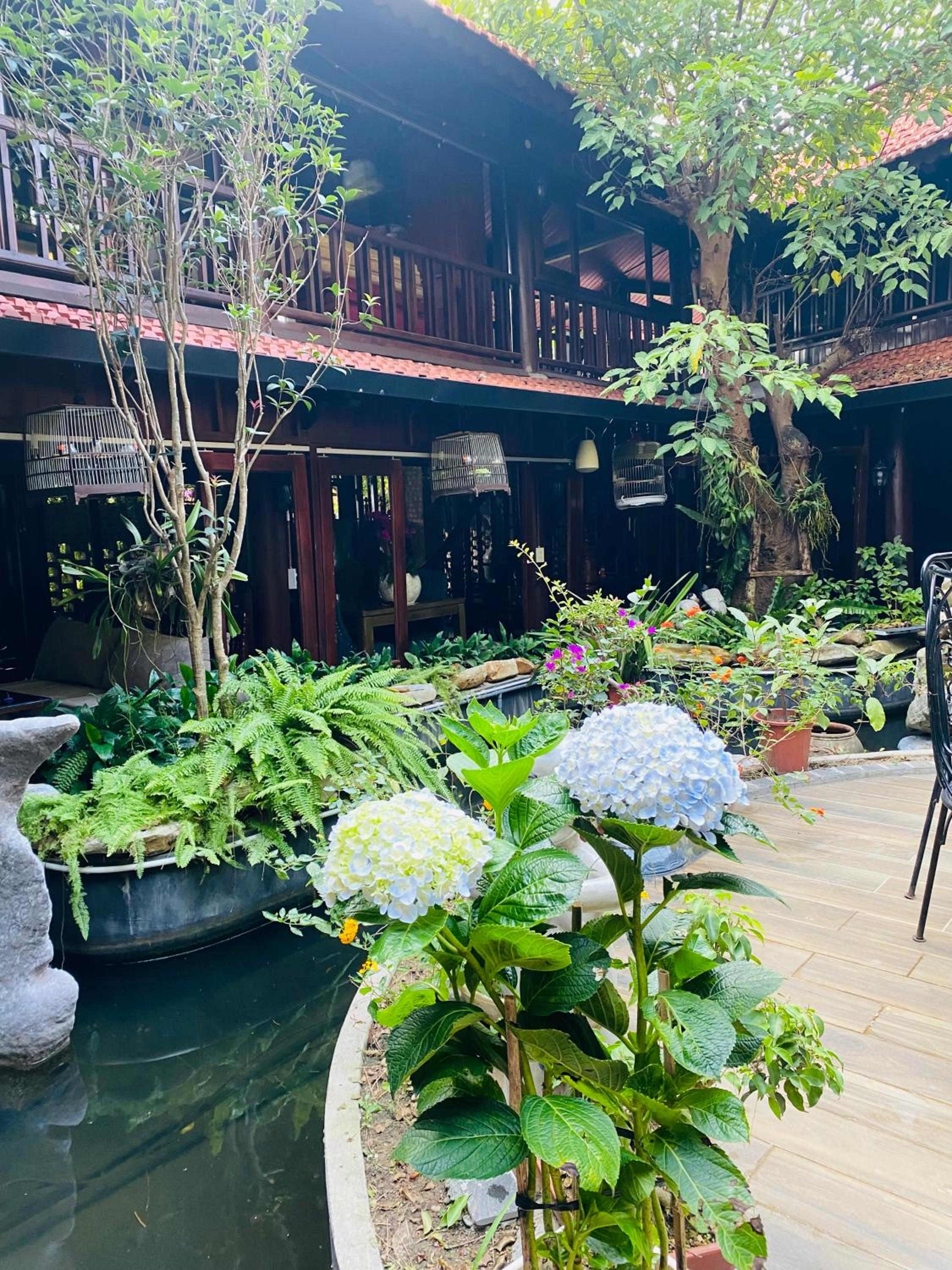 Homestay Sunny
