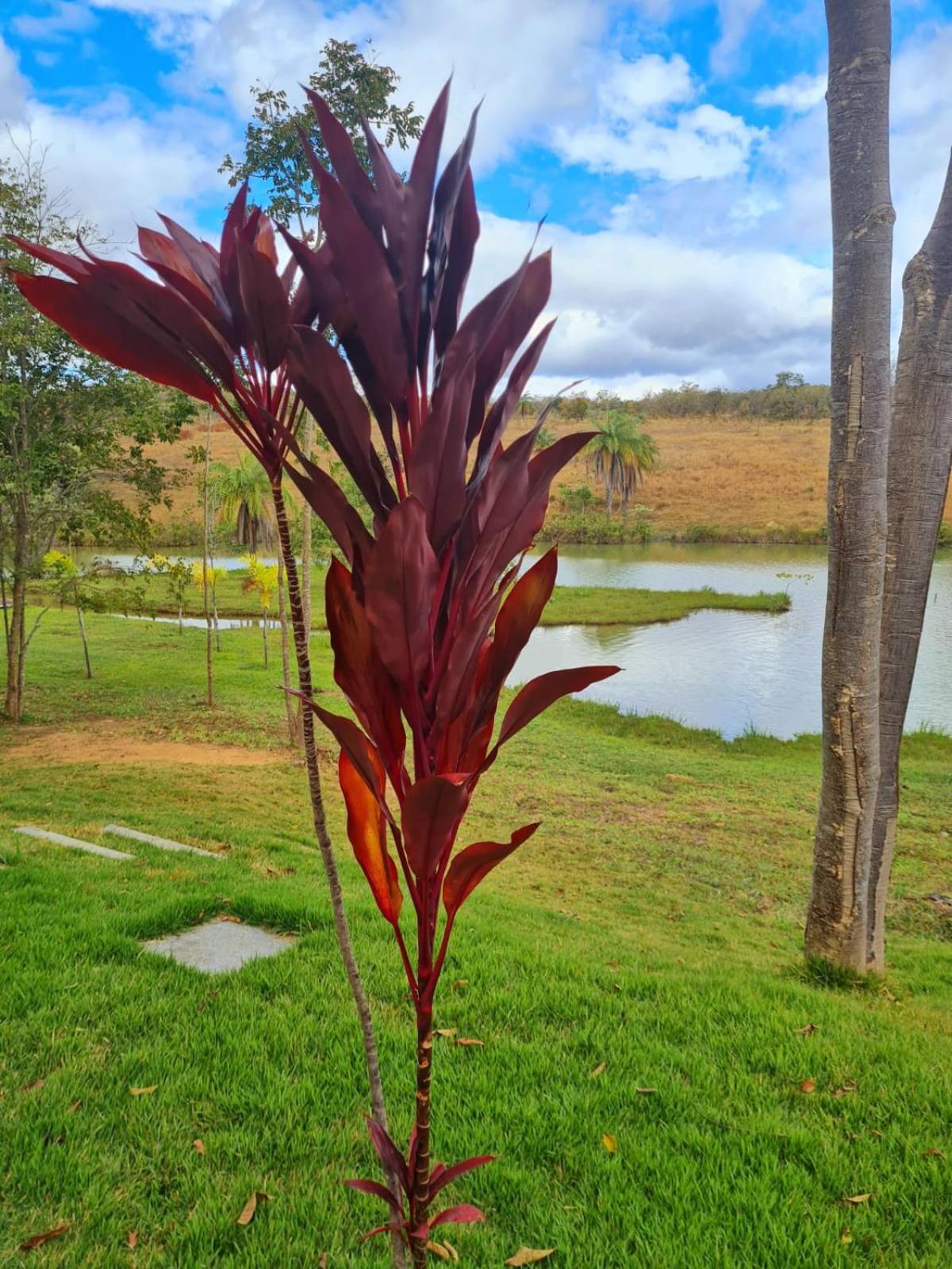 Sítio defronte Lagoa Lagoa na Serra do Cipó