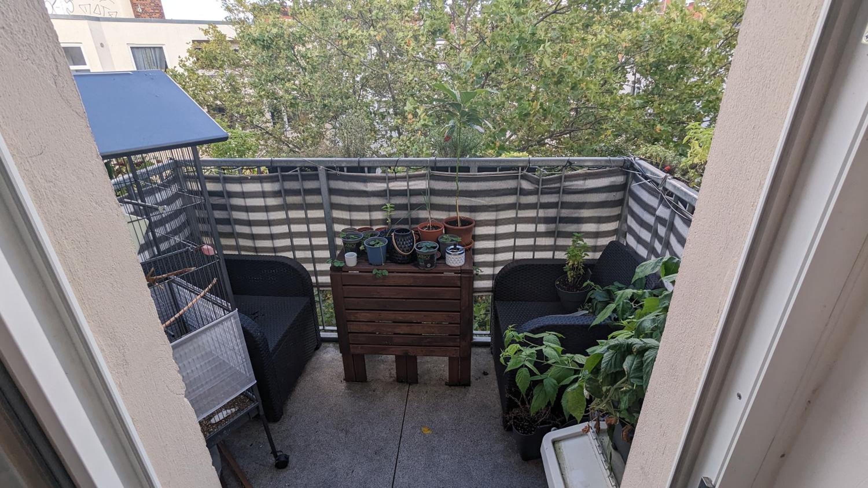 Cosy flat in Berlin's trendy area