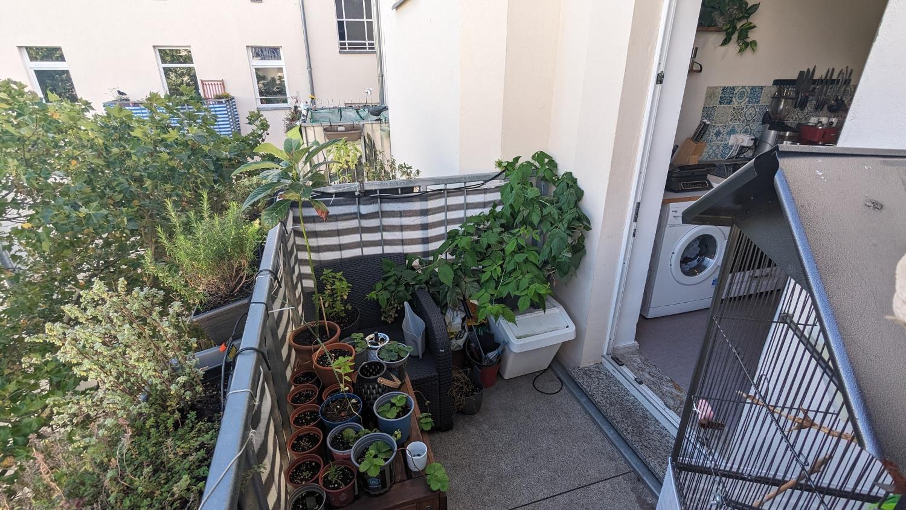 Cosy flat in Berlin's trendy area
