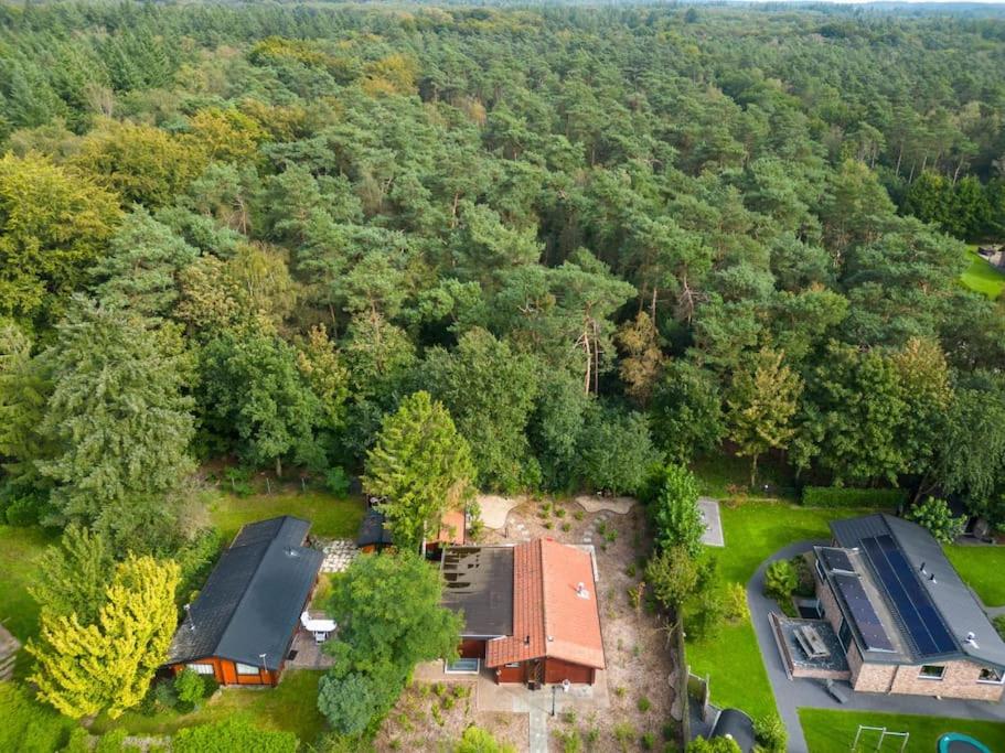 Spacious wooden cottage with infra-red sauna at Veluwe view 4