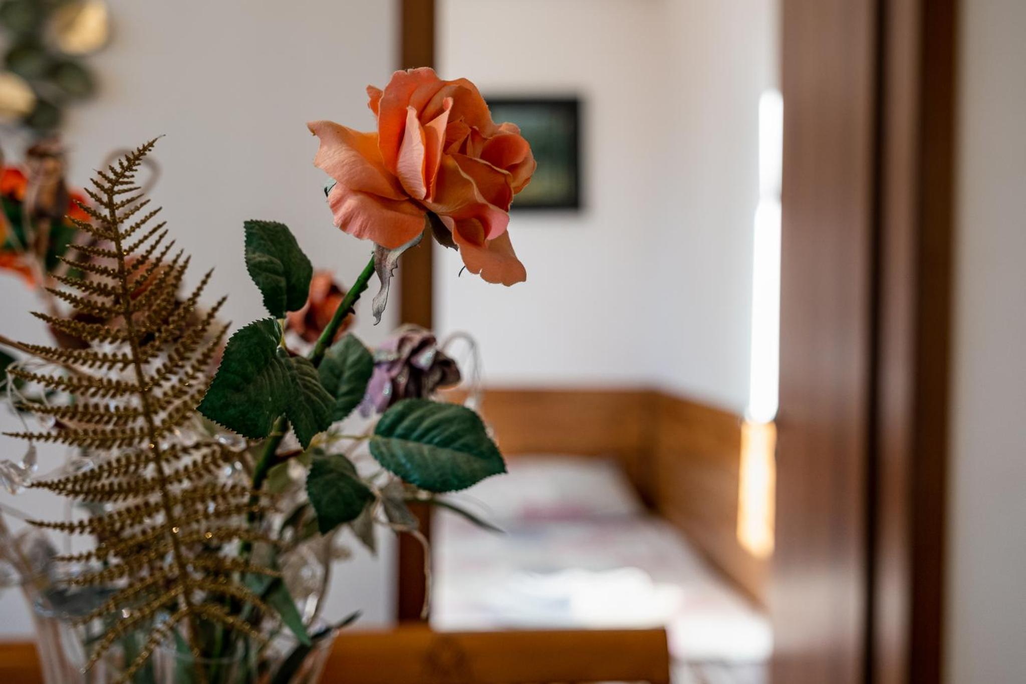 Roman Thermae 2bdrm Sunny Apartment