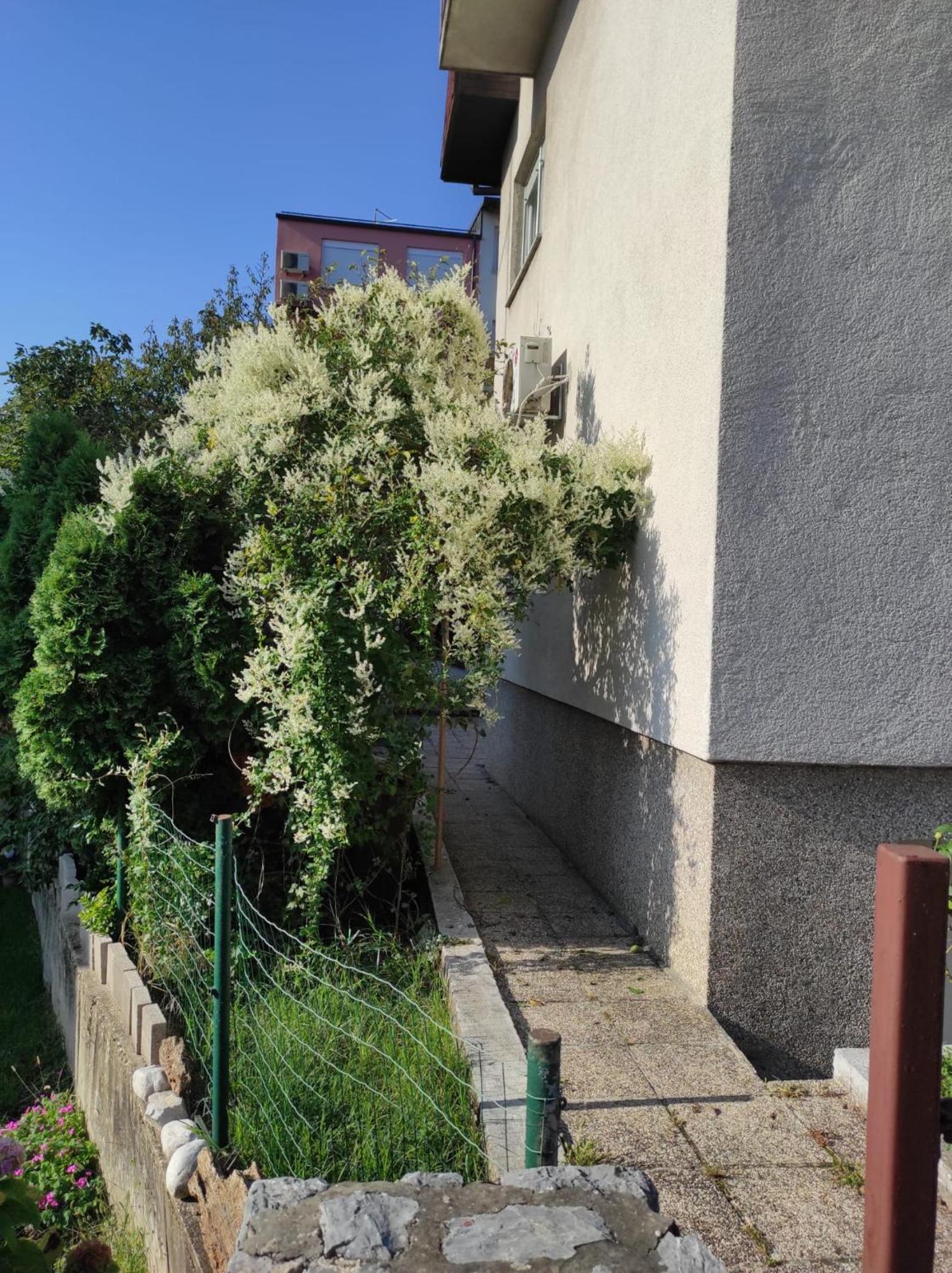Apartman ZAGREB,REBRO,MAKSIMIR,CENTAR Marko