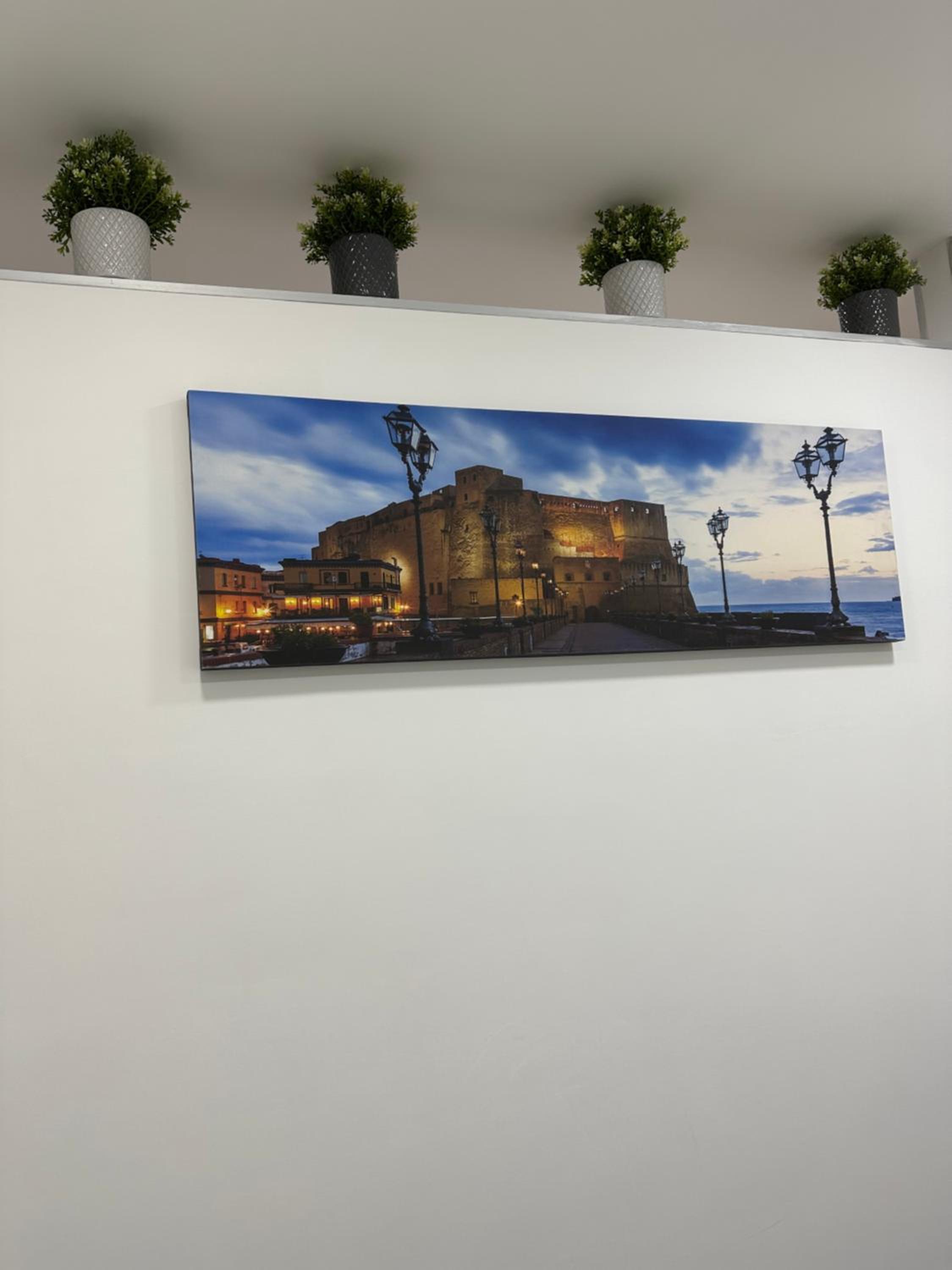 Museo House