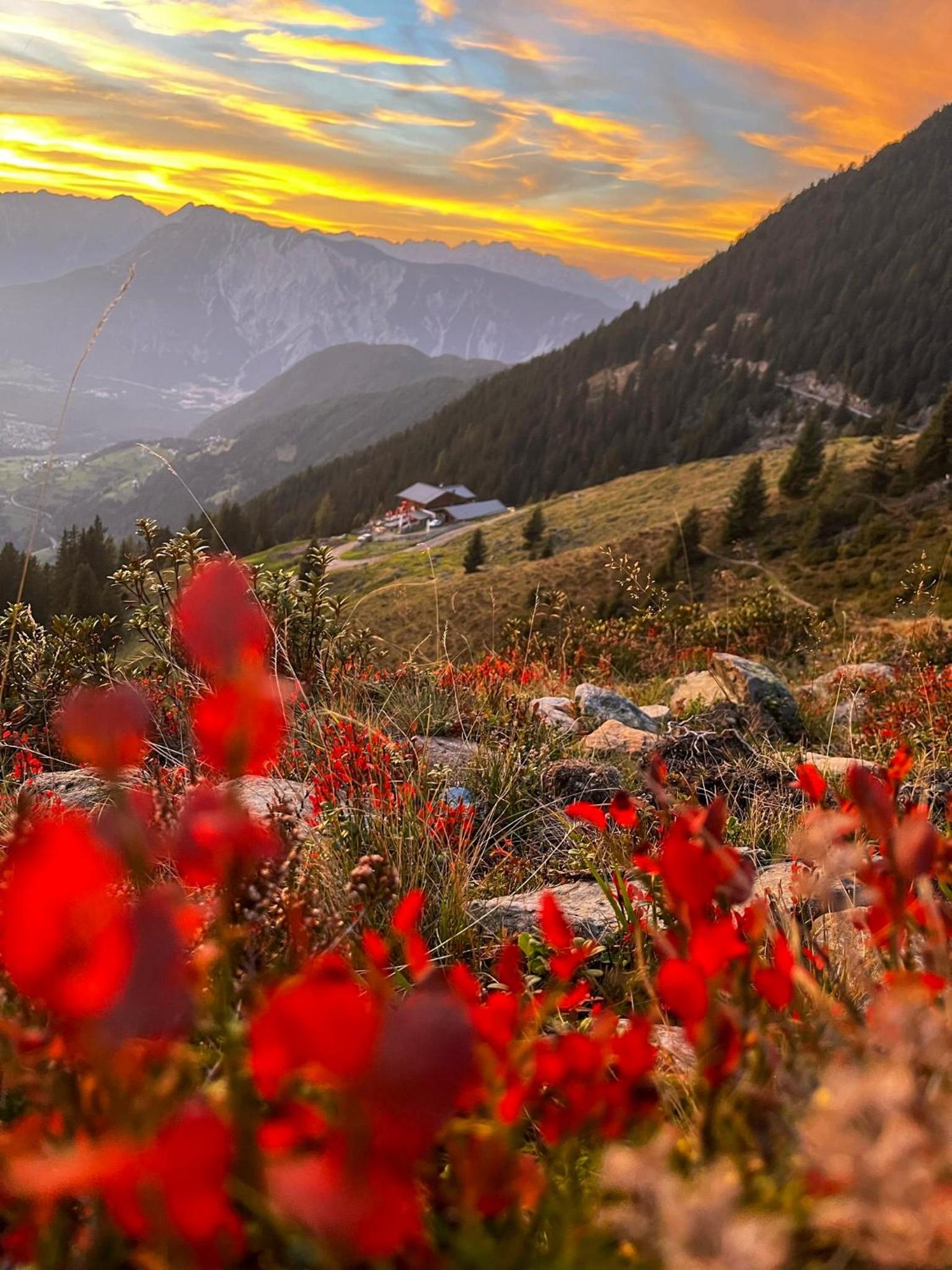 Die Acherberg Alm