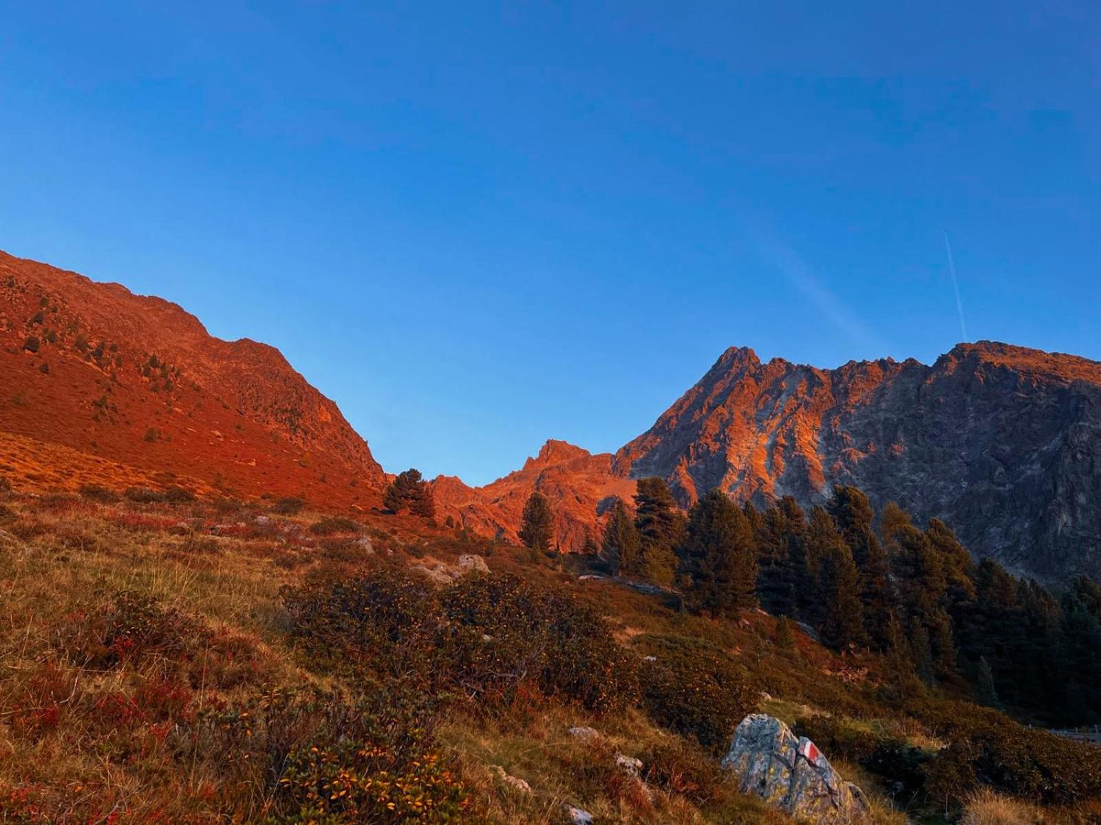 Die Acherberg Alm