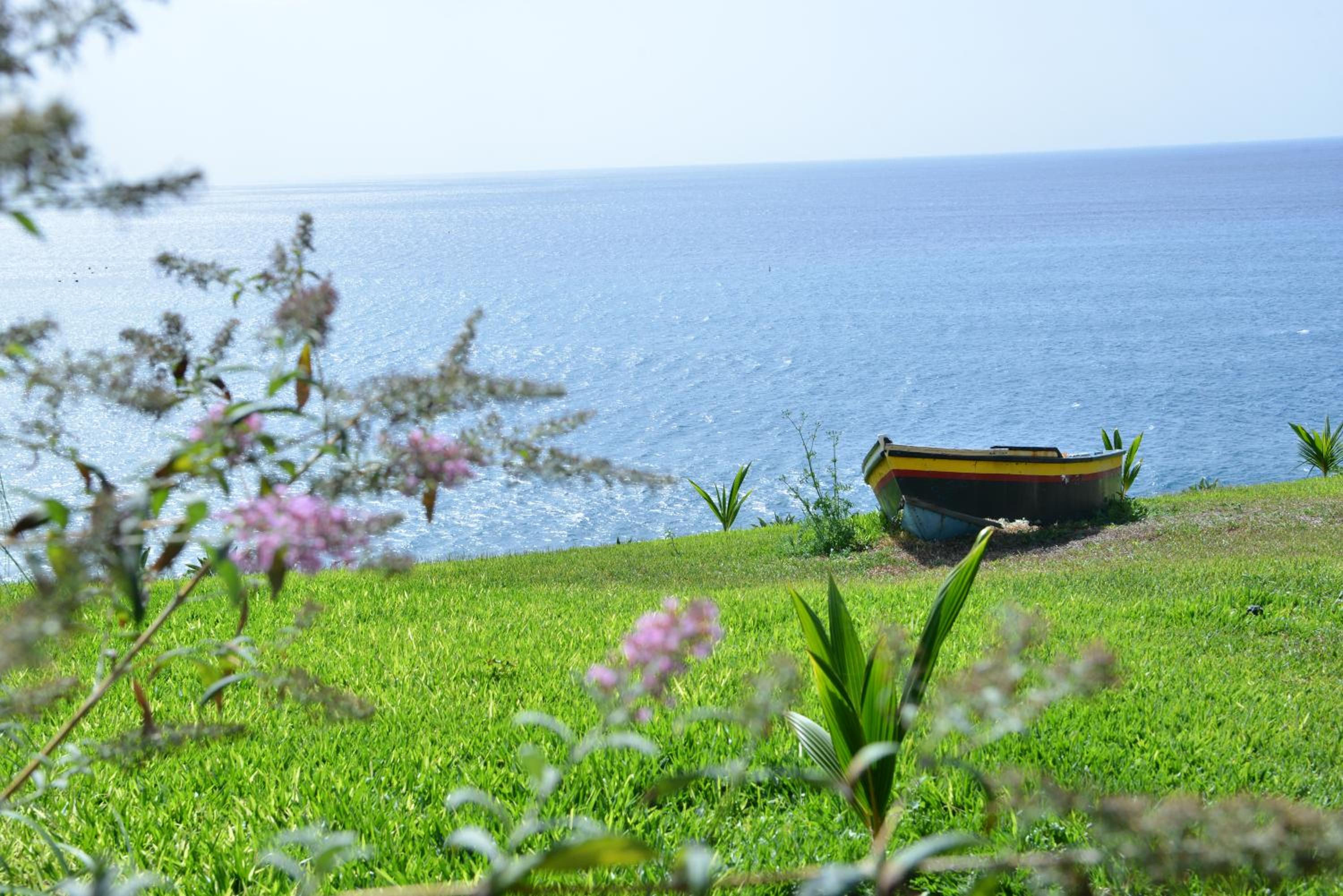 Quinta Golfinho