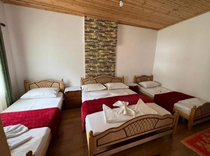 Mikel Center Theth Guesthouse