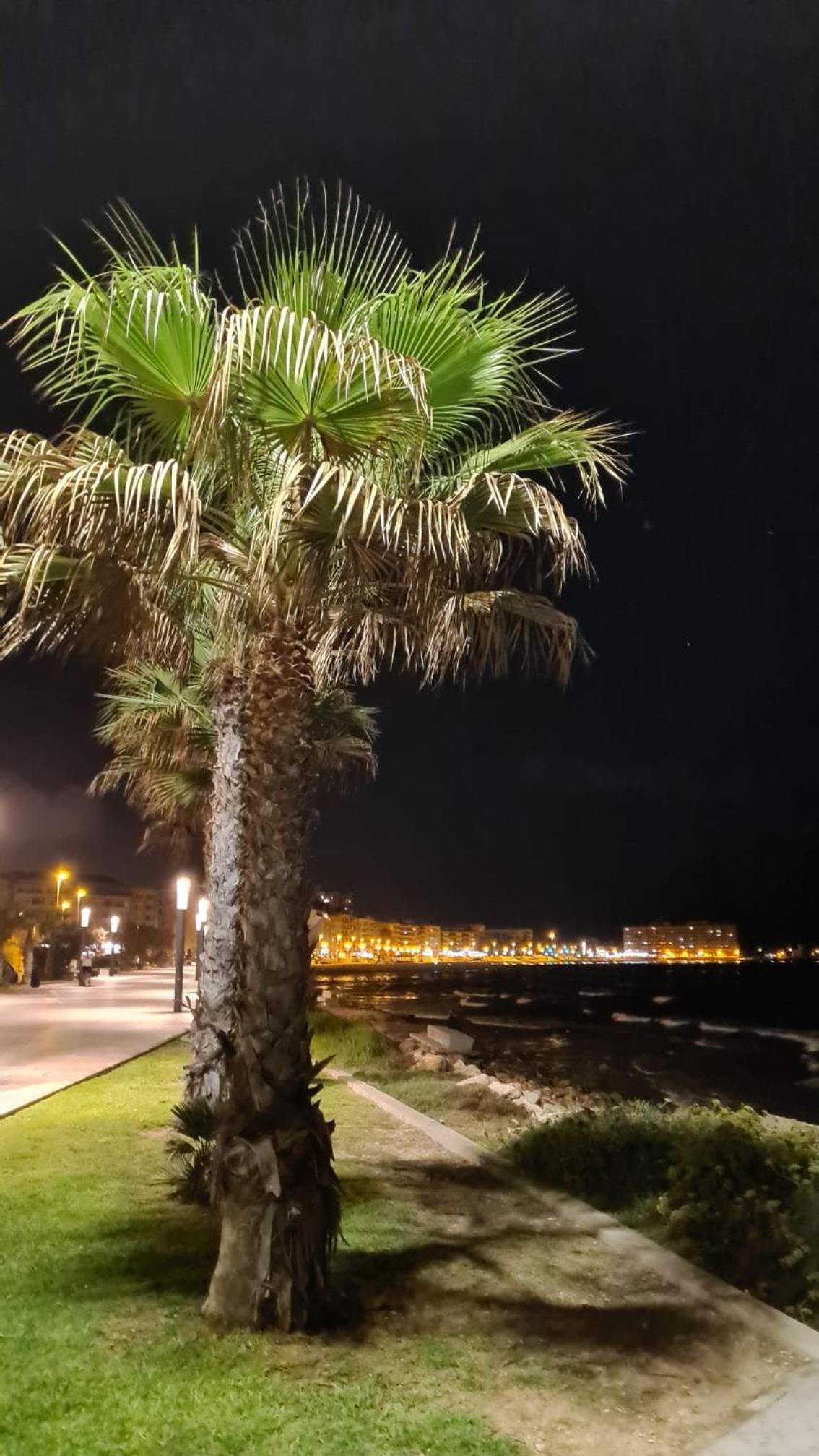 Ferienwohnung, Spanien,Strand La Mata