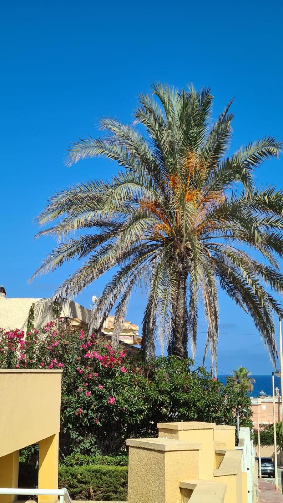 Ferienwohnung, Spanien,Strand La Mata