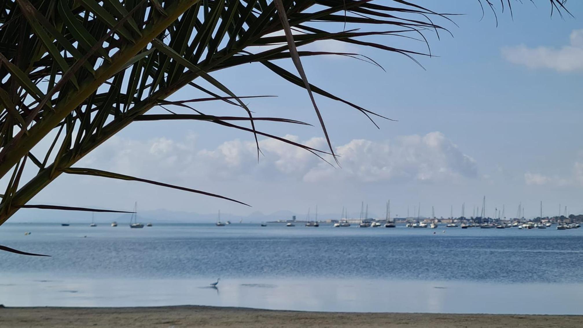Ferienwohnung, Spanien,Strand La Mata
