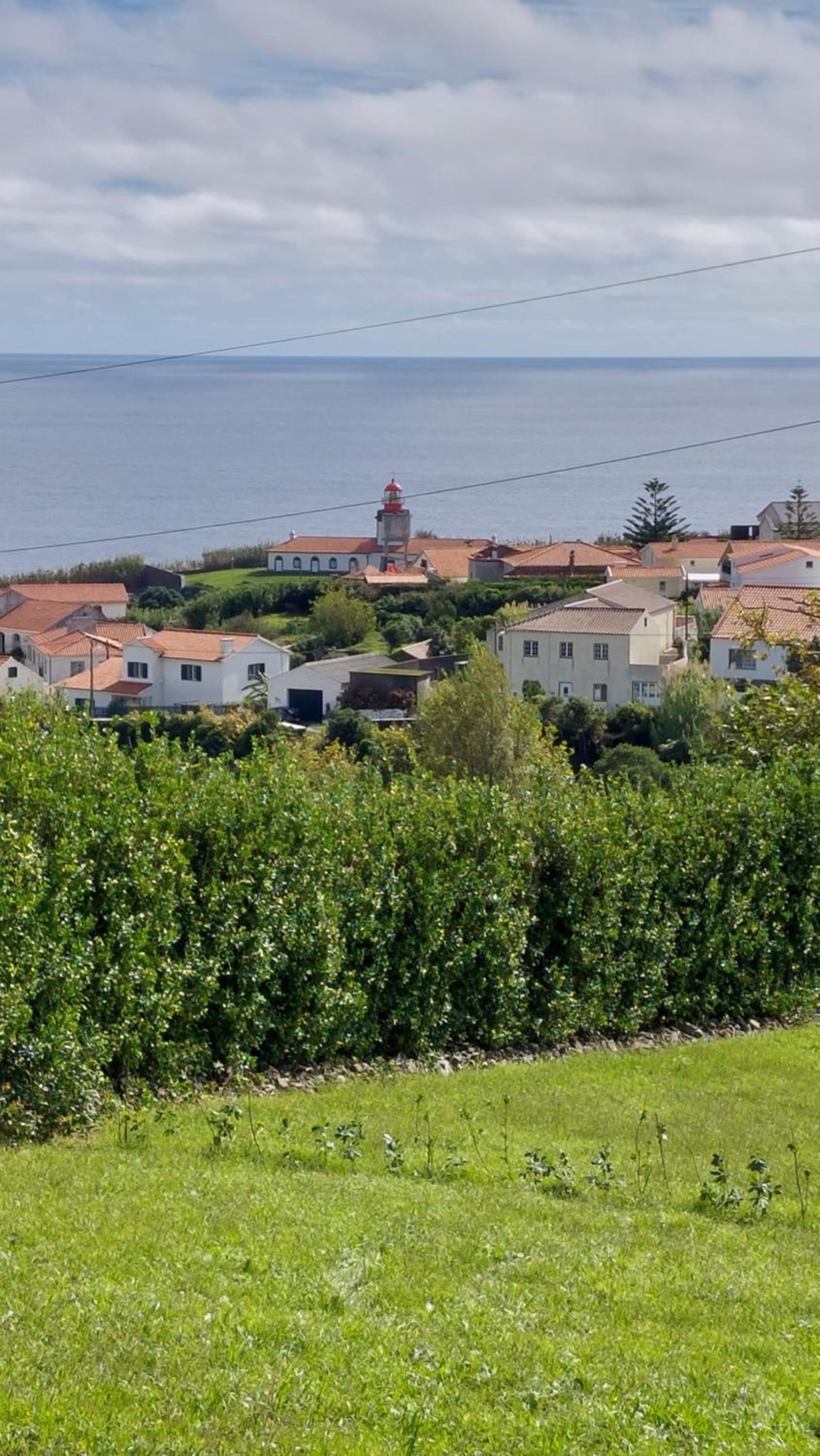 SERRADO Da EIRA