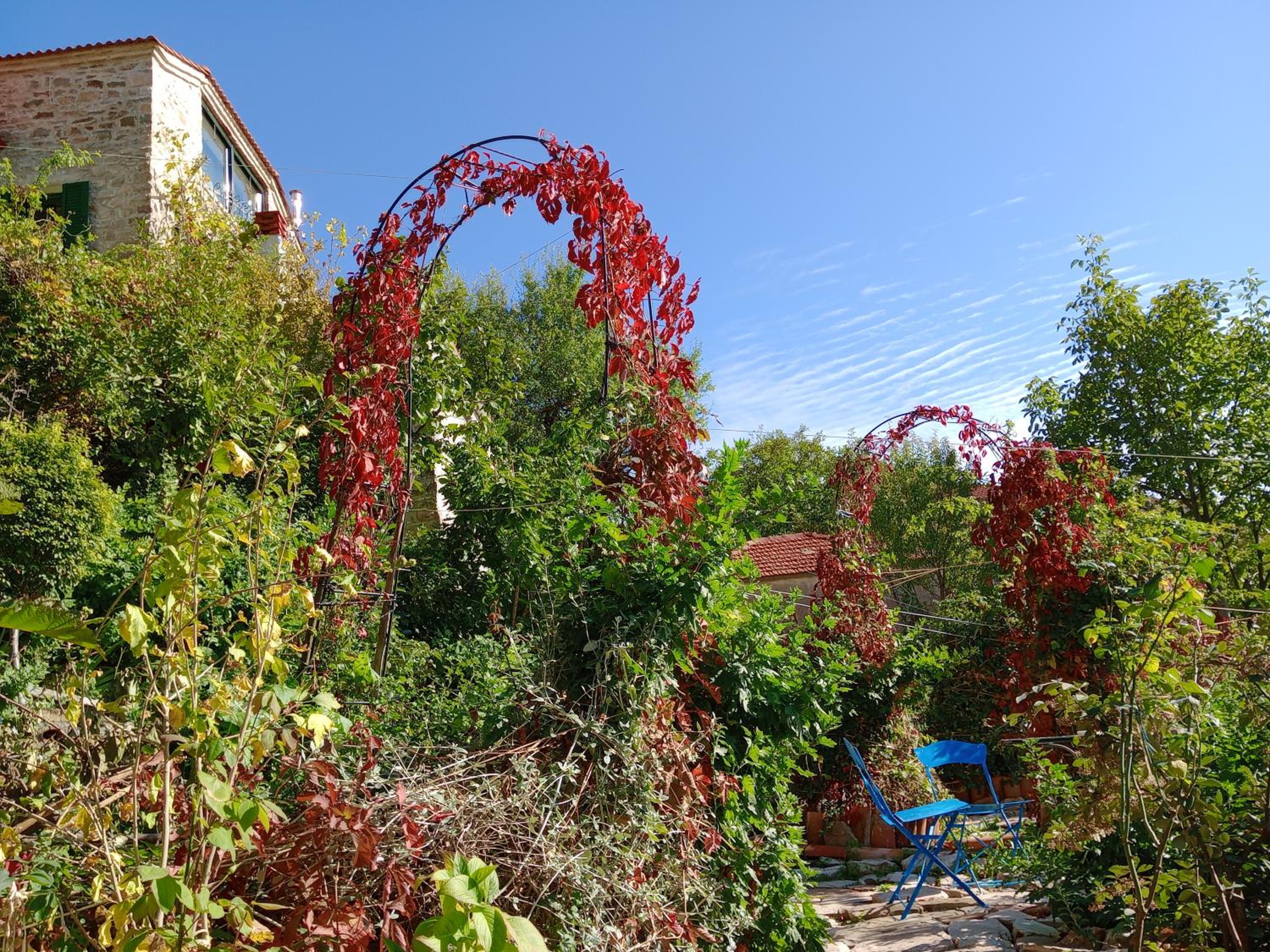 Penelope suite