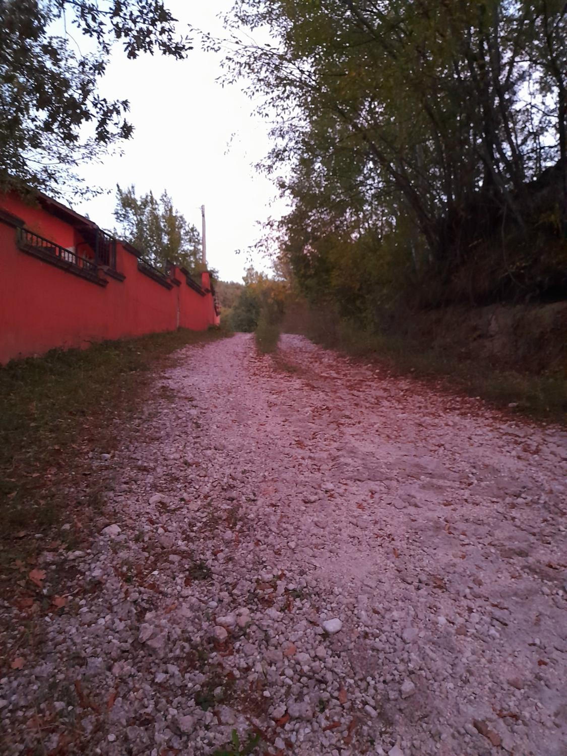 Photo 35