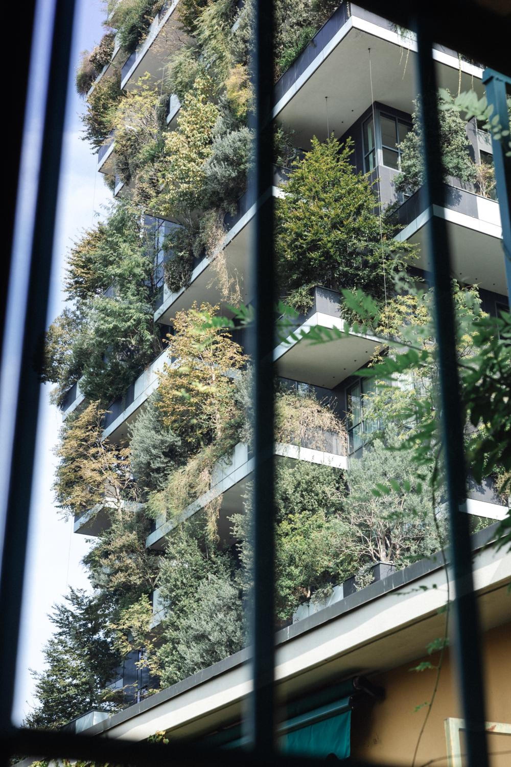 tHE Home Of Fame - Bosco Verticale View