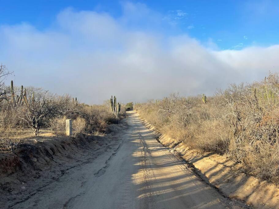 Photo 32