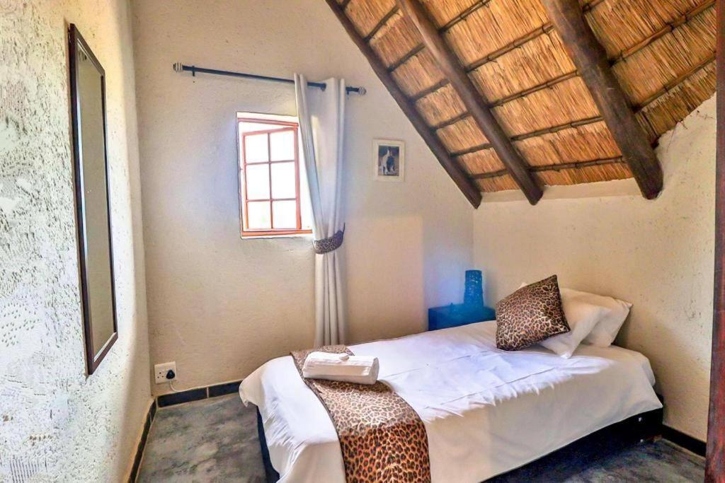 Leopard Chalet - Solar System
