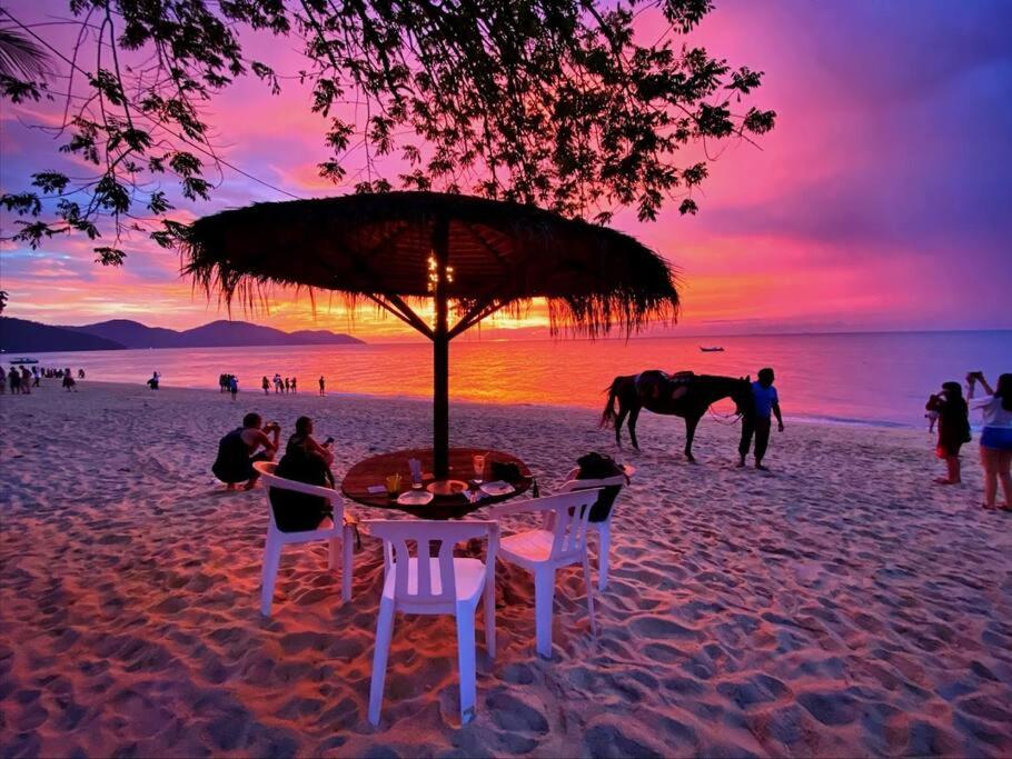 (New) Beachside Antique Villa@14 pax photo 4