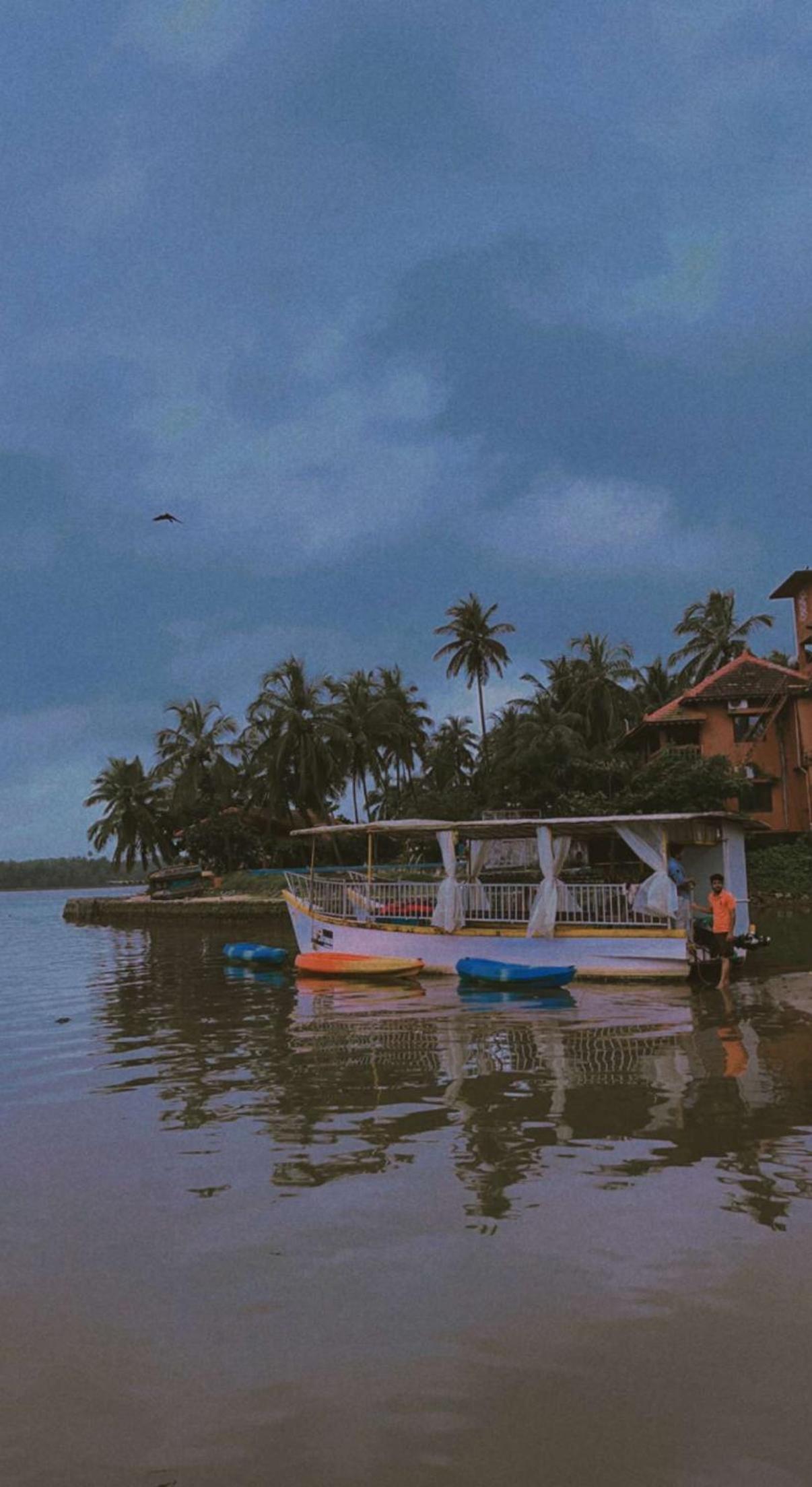 THE BACKWATER HOMESTAYy view 3