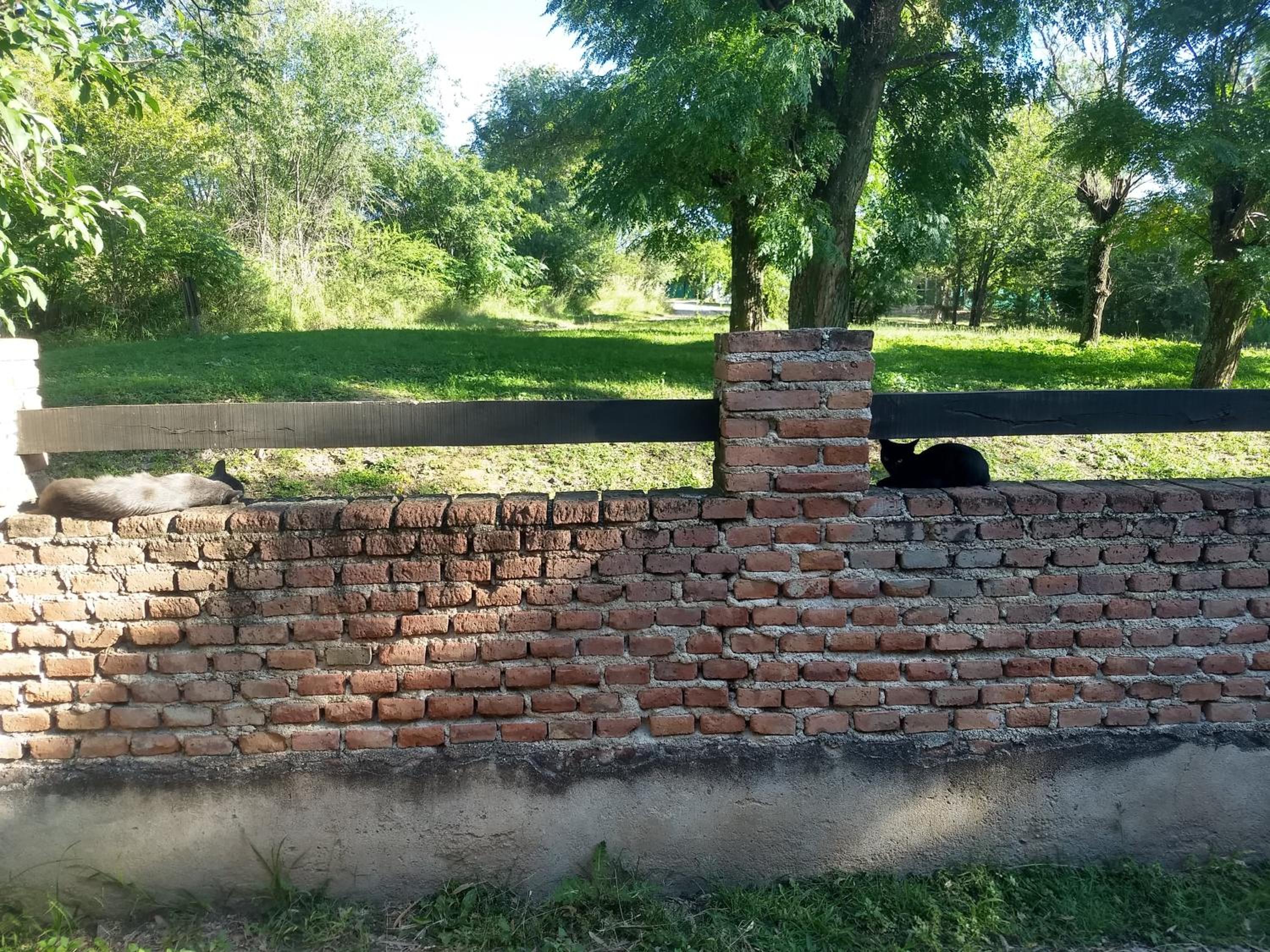 Casa al pie de la montaña