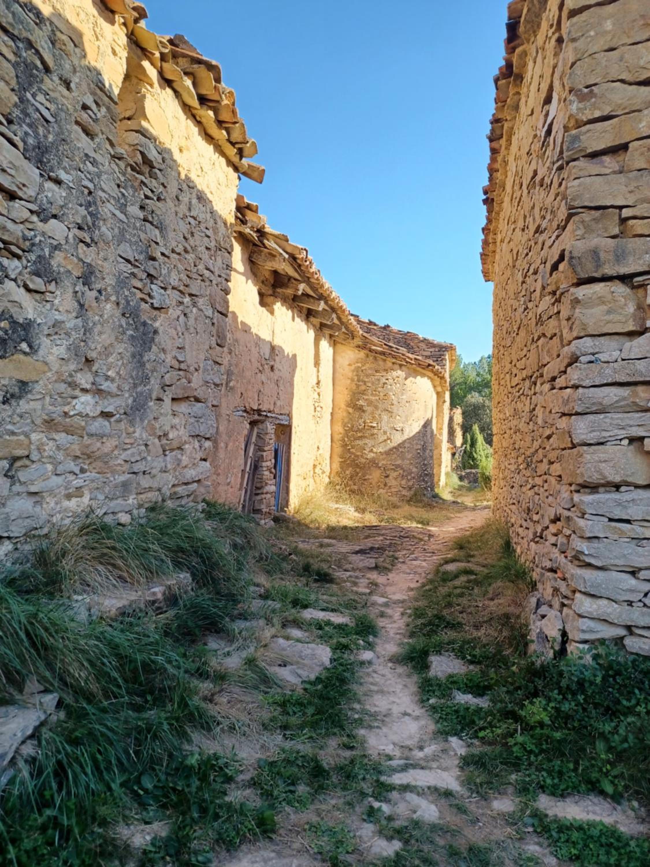 La Vieja Escuela