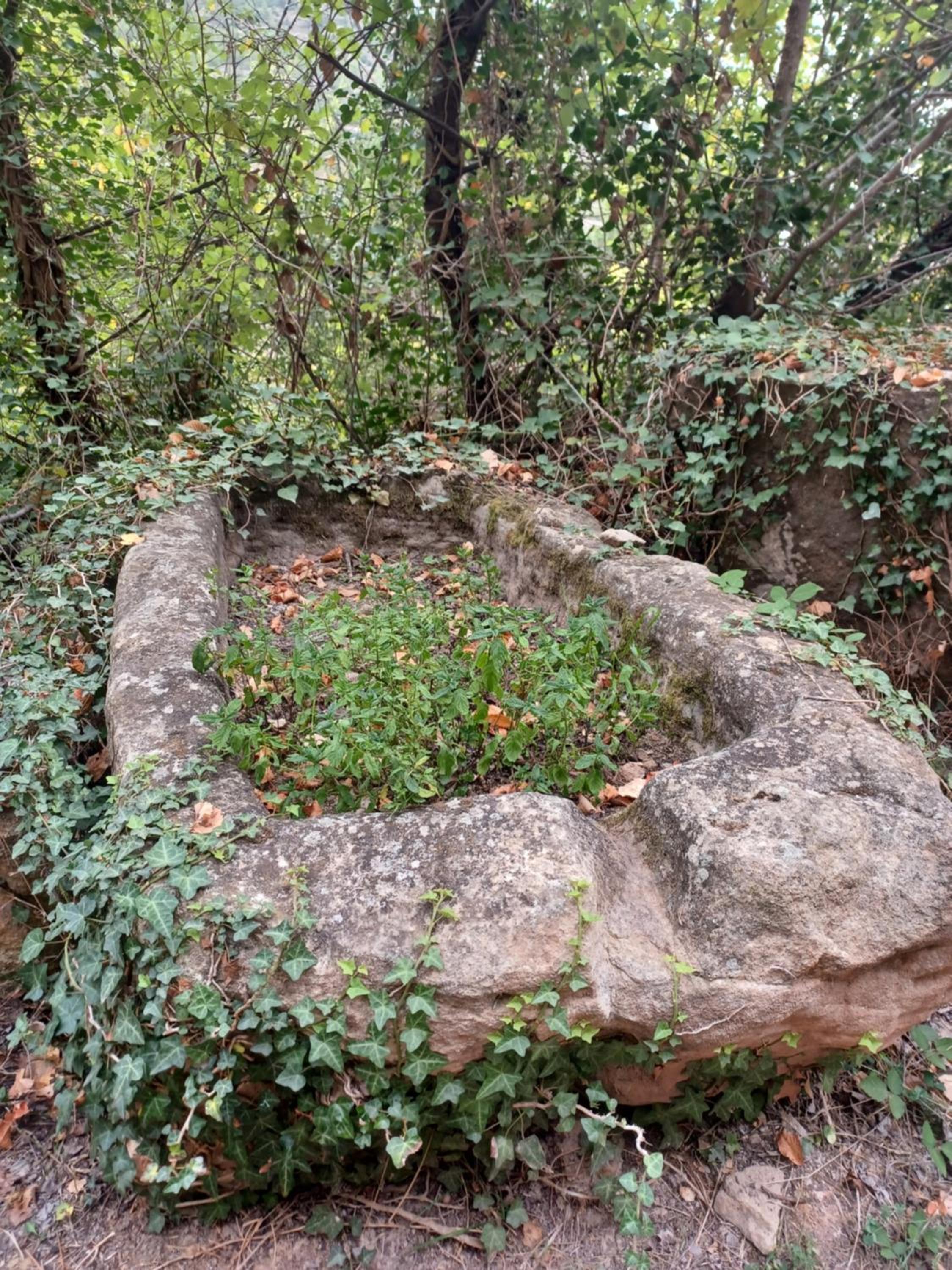 La Vieja Escuela