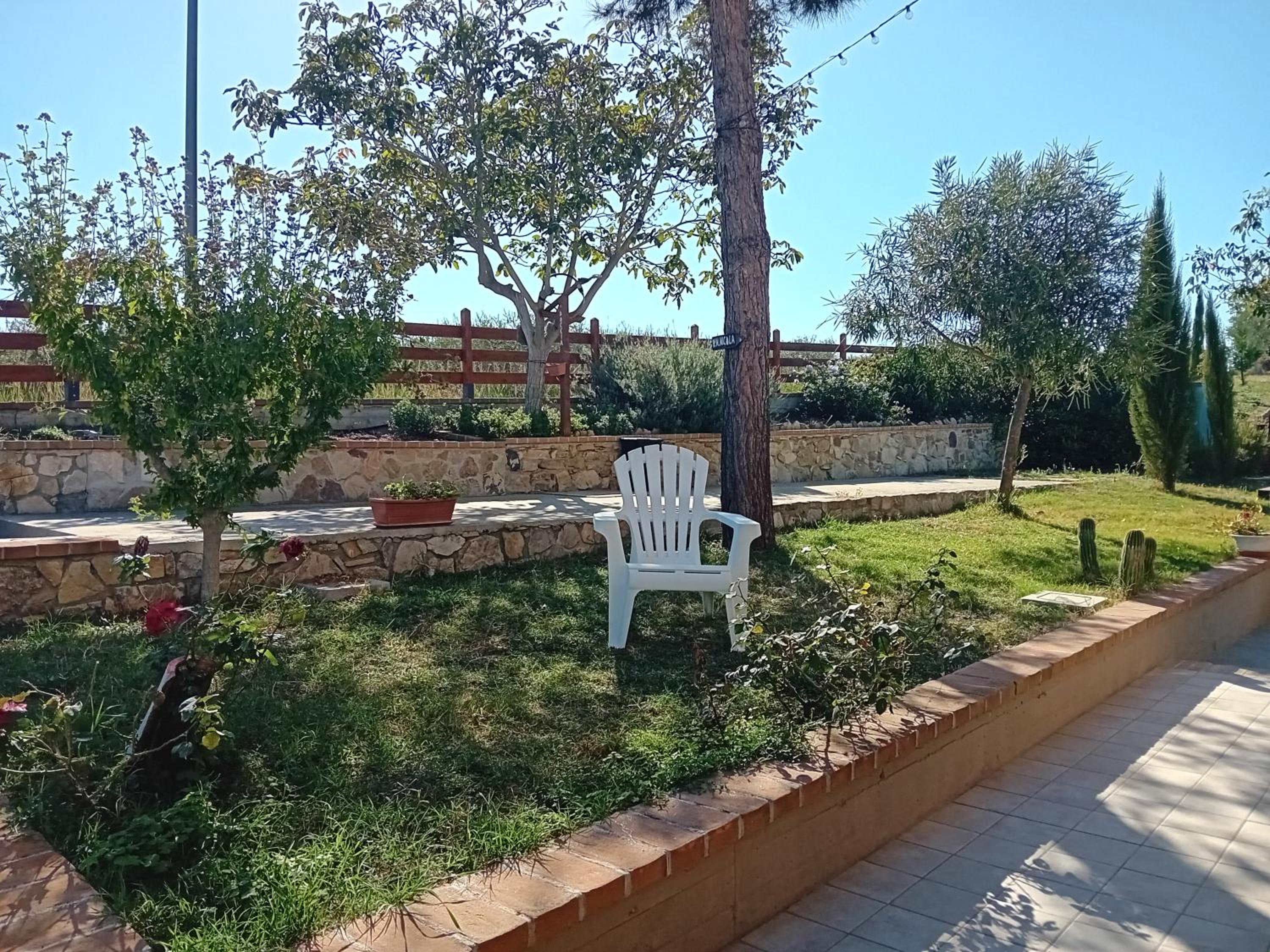 Photo 43