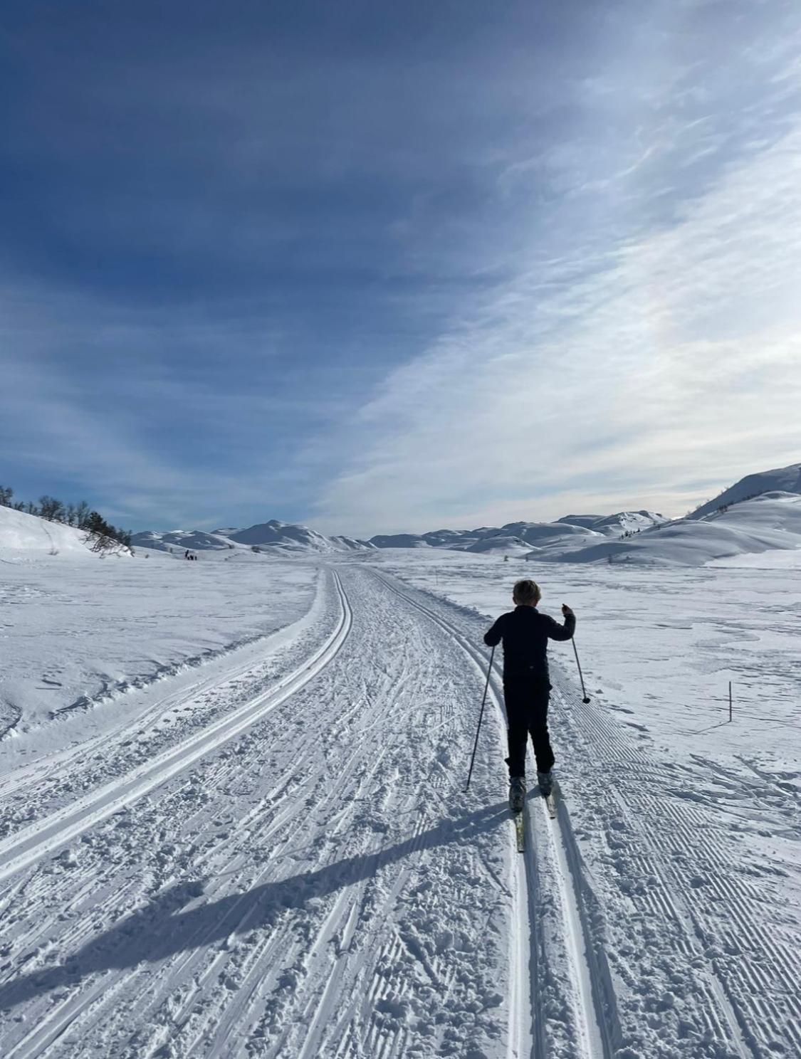 Hjemmekoselig hytte på Rauland
