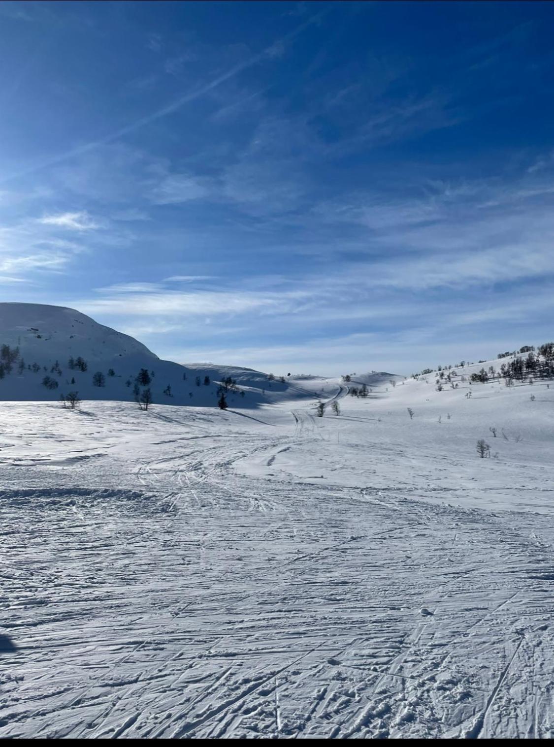 Hjemmekoselig hytte på Rauland