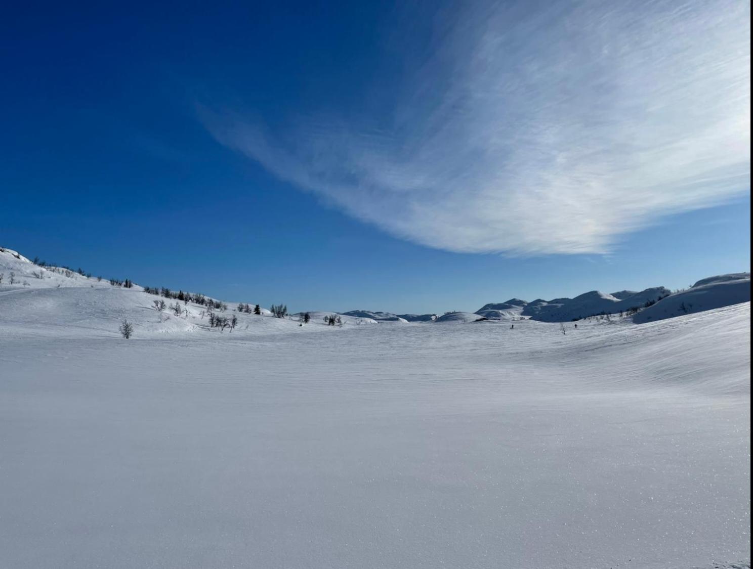 Hjemmekoselig hytte på Rauland