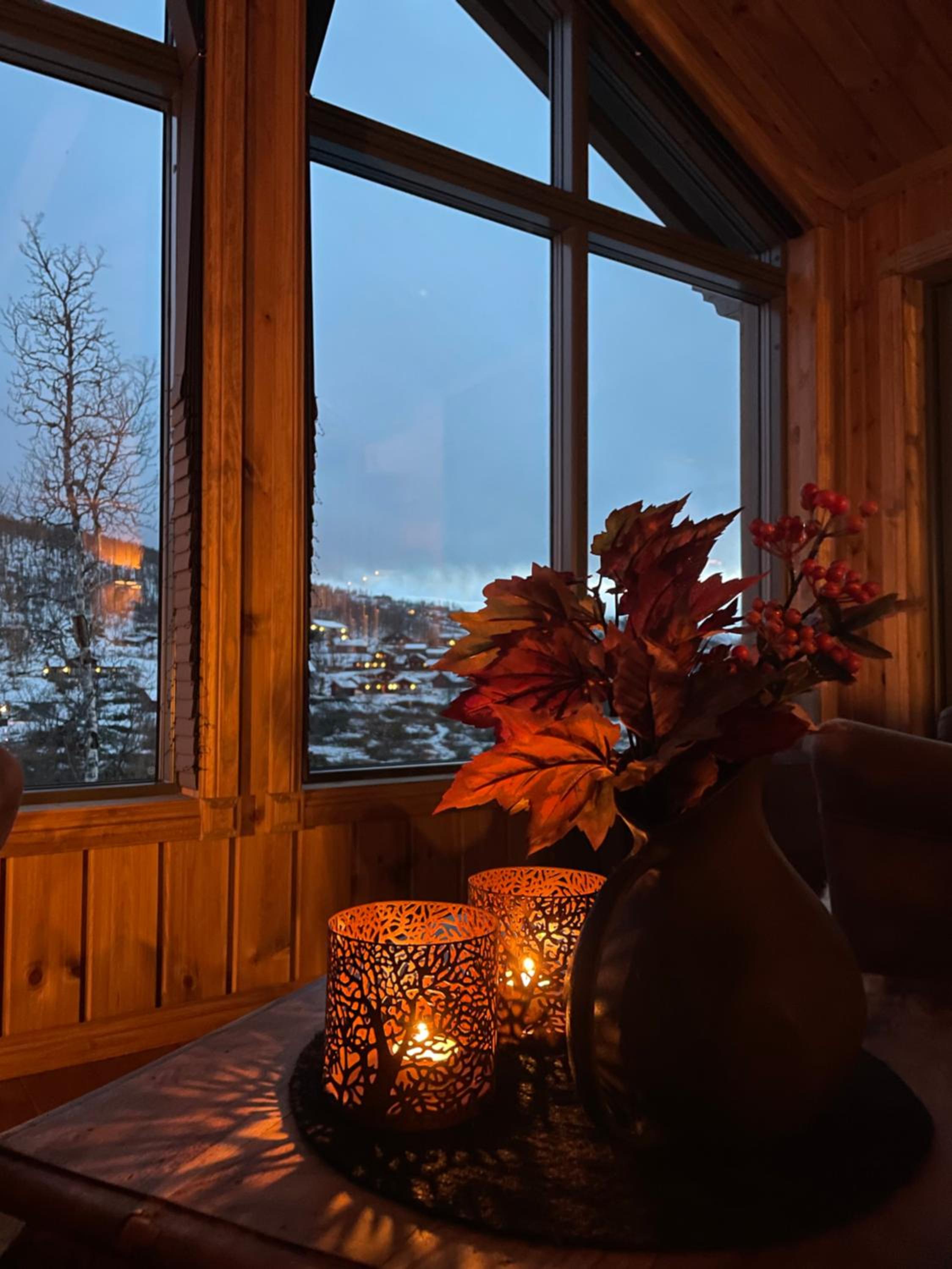 Hjemmekoselig hytte på Rauland