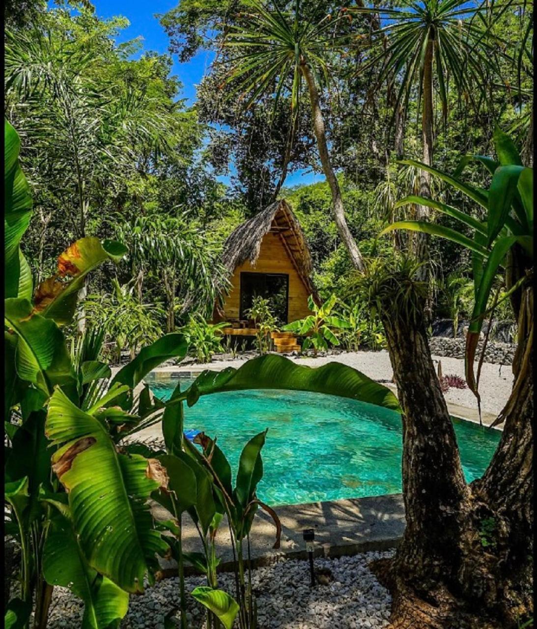 Cabinas de Lou Eco Lodge TAMARINDO