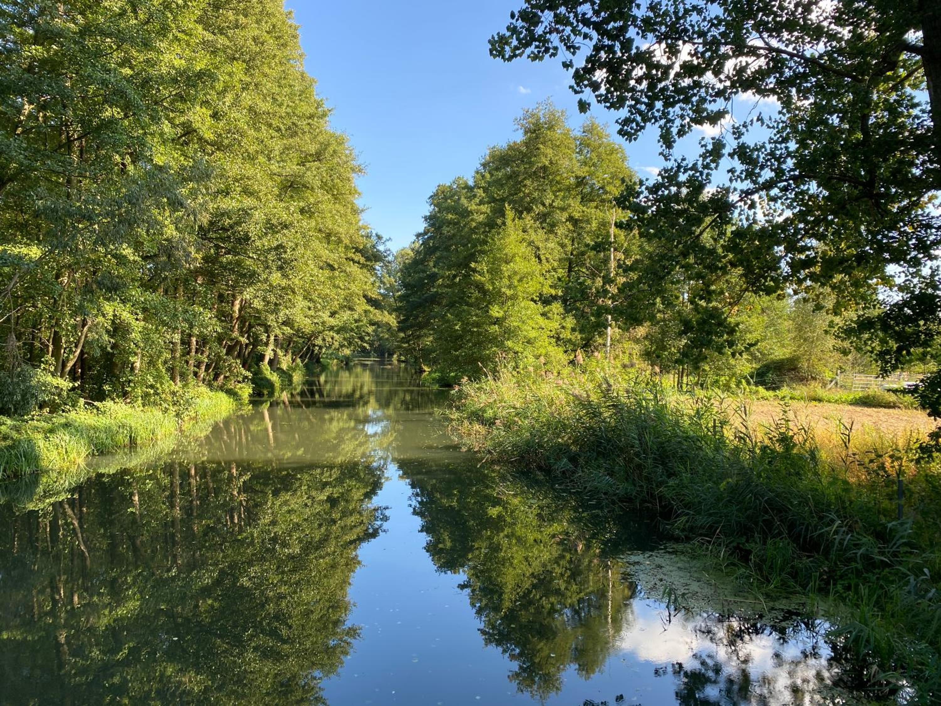 Spreewaldhaus Raddusch, Boote- Fahrräder gratis