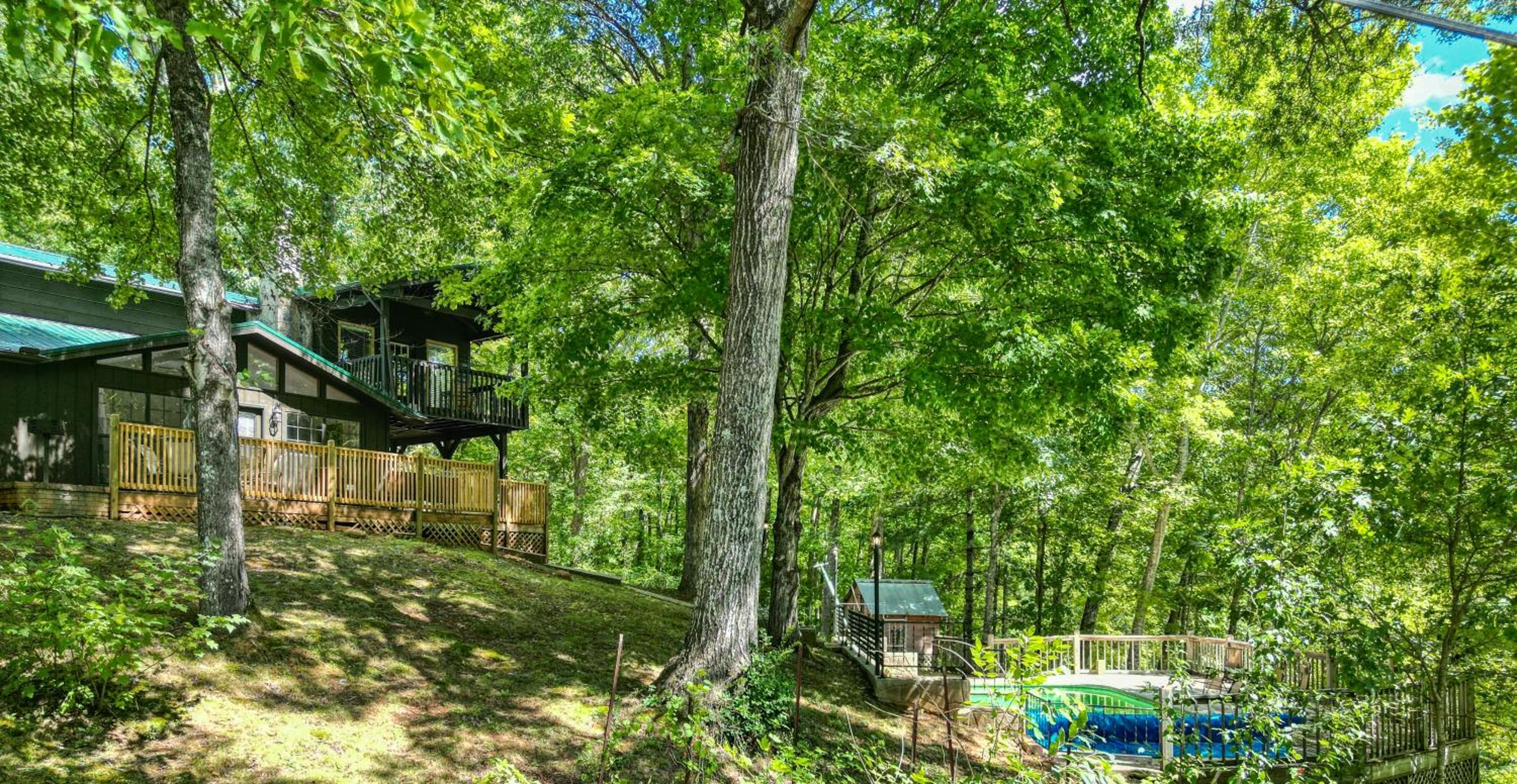 Tranquil Cabin
