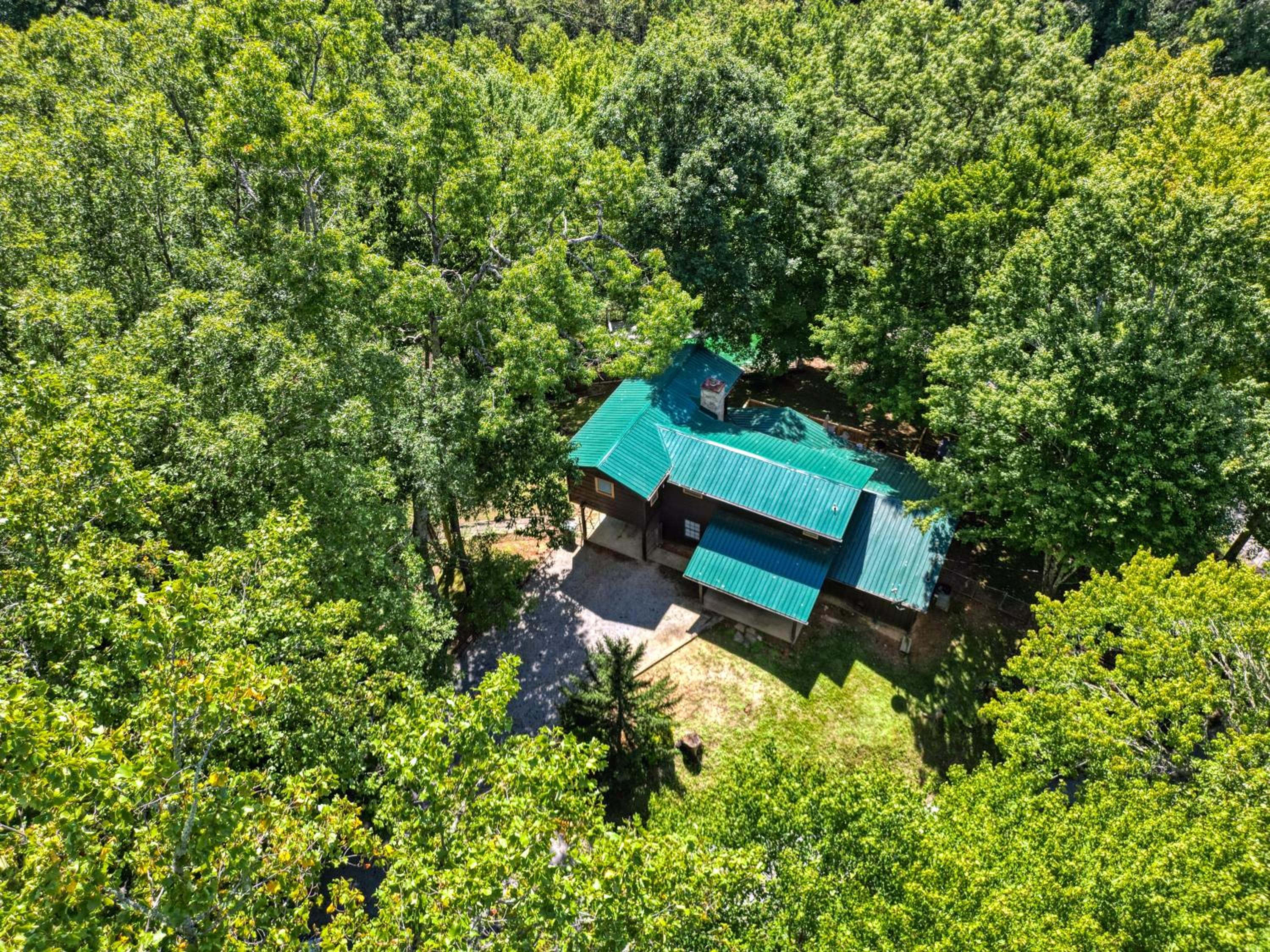 Tranquil Cabin
