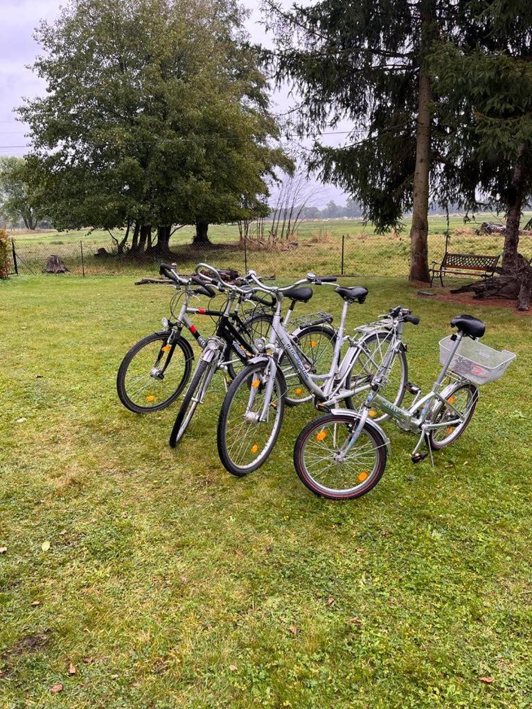 Spreewaldhaus Raddusch, Boote- Fahrräder gratis