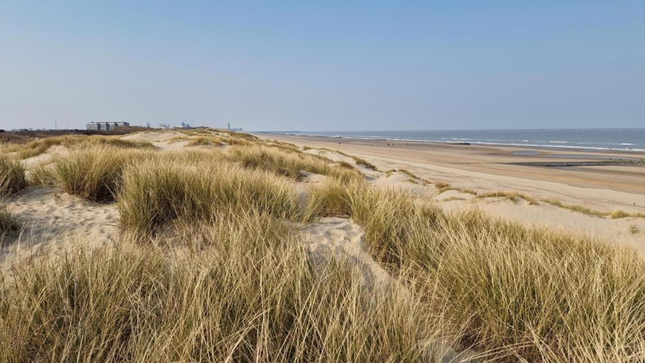 Vacances relax à Bredene