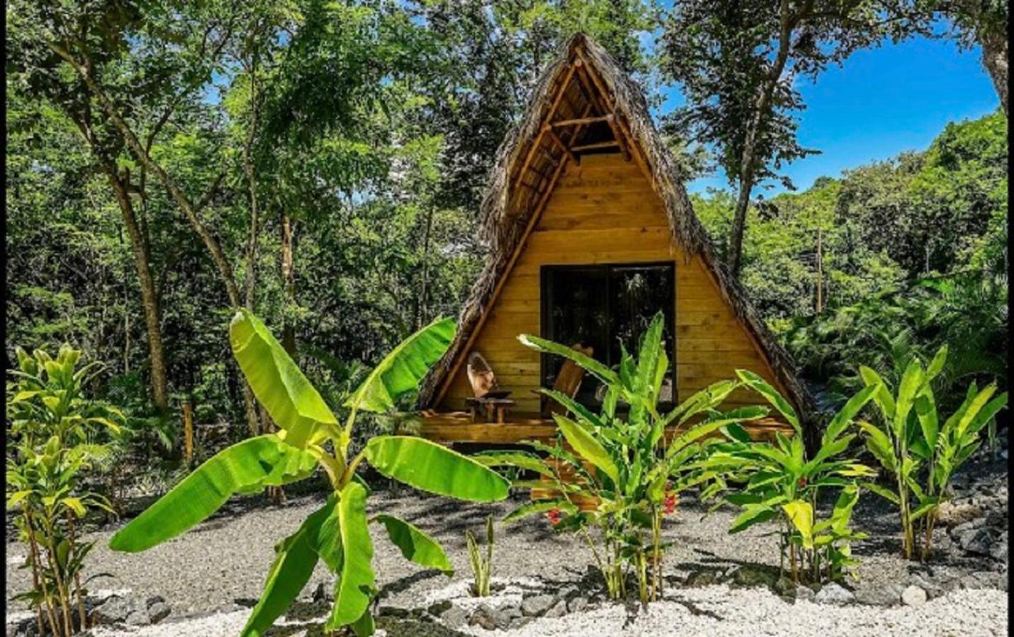 Cabinas de Lou Eco Lodge TAMARINDO