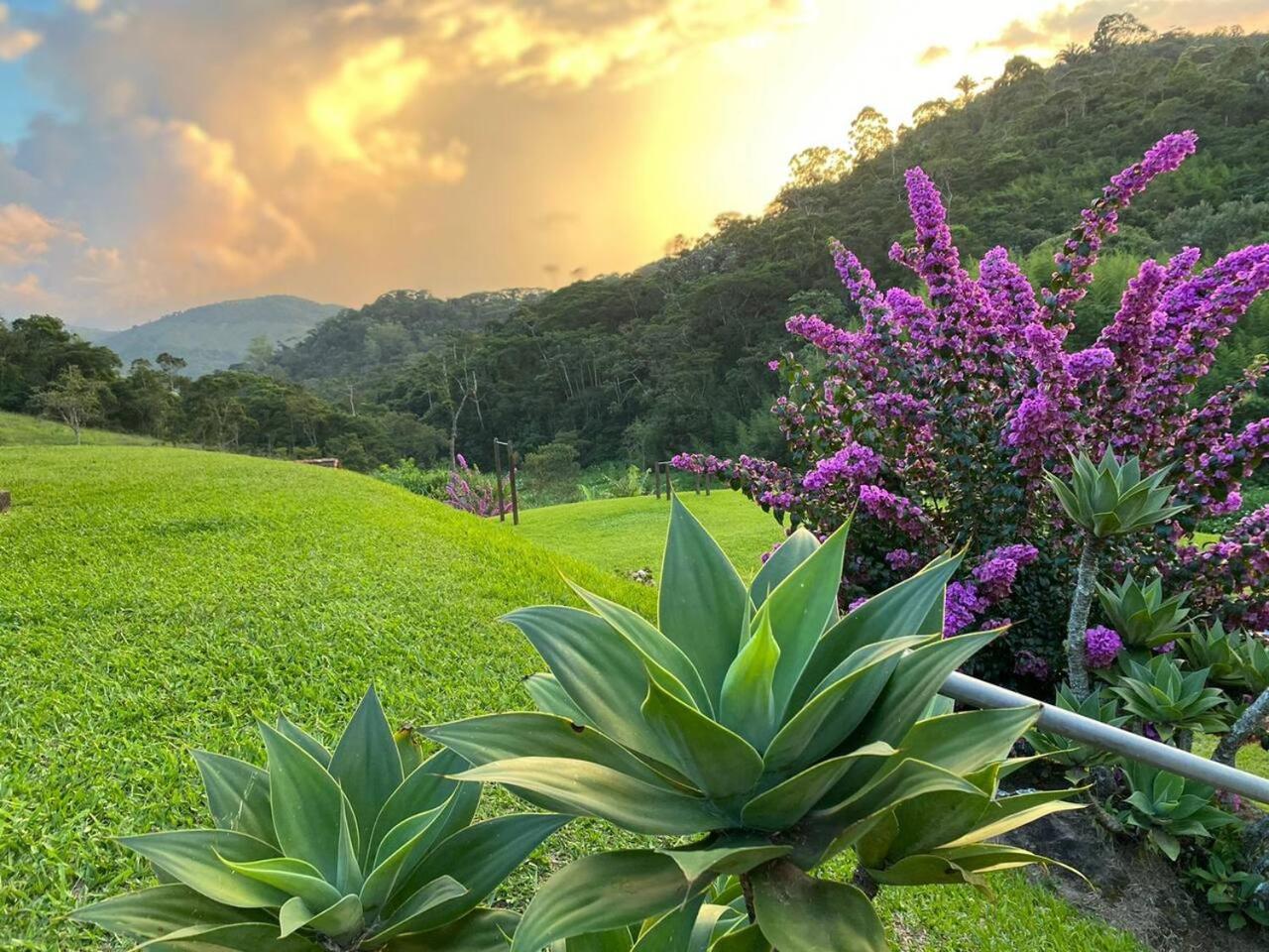 Fazenda Nuvem Branca