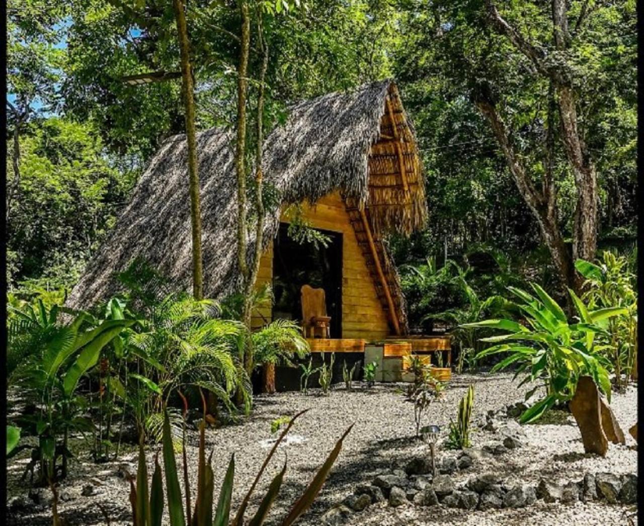 Cabinas de Lou Eco Lodge TAMARINDO