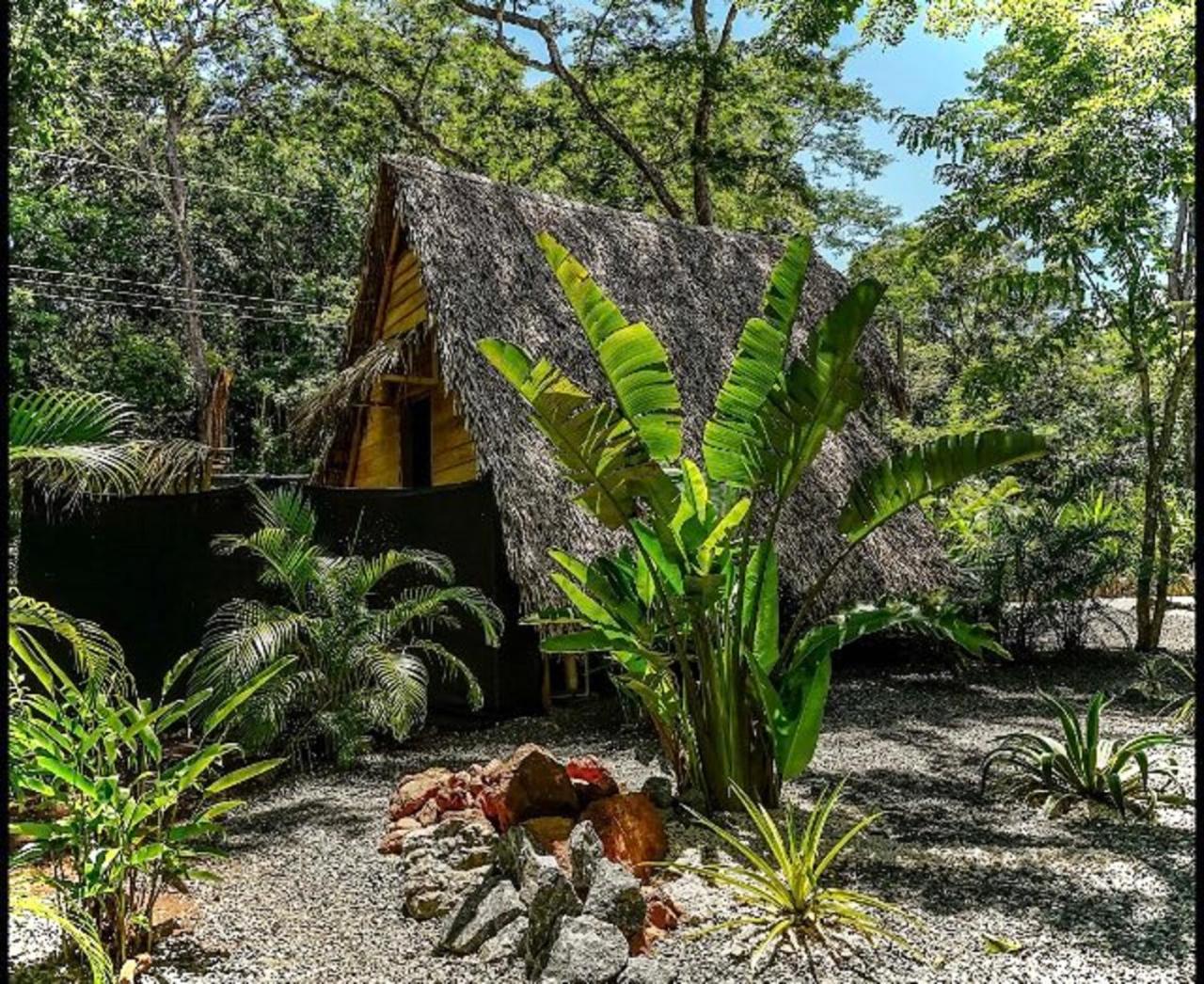 Cabinas de Lou Eco Lodge TAMARINDO