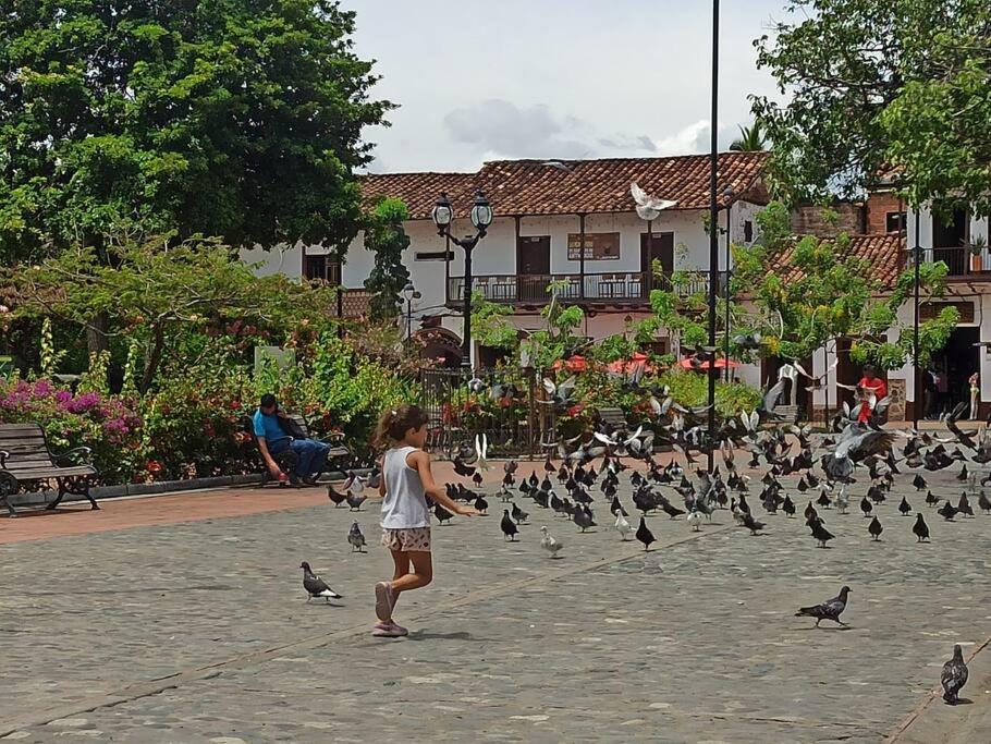 Piscina-gran vista-clima cálido y pueblo histórico