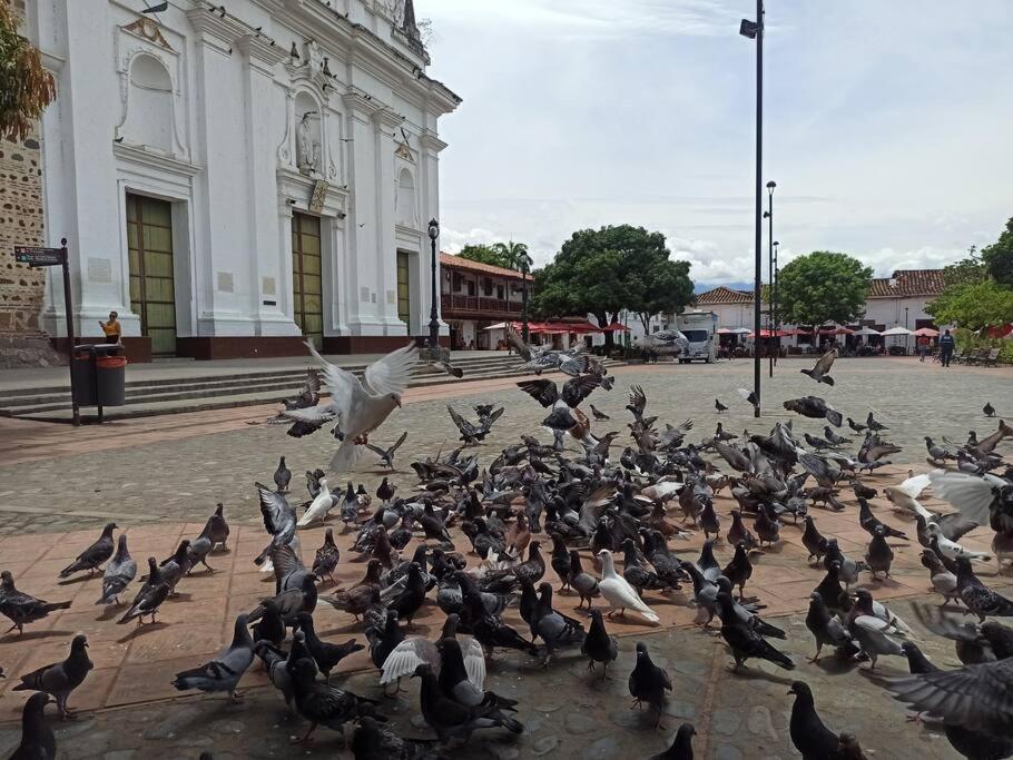 Piscina-gran vista-clima cálido y pueblo histórico
