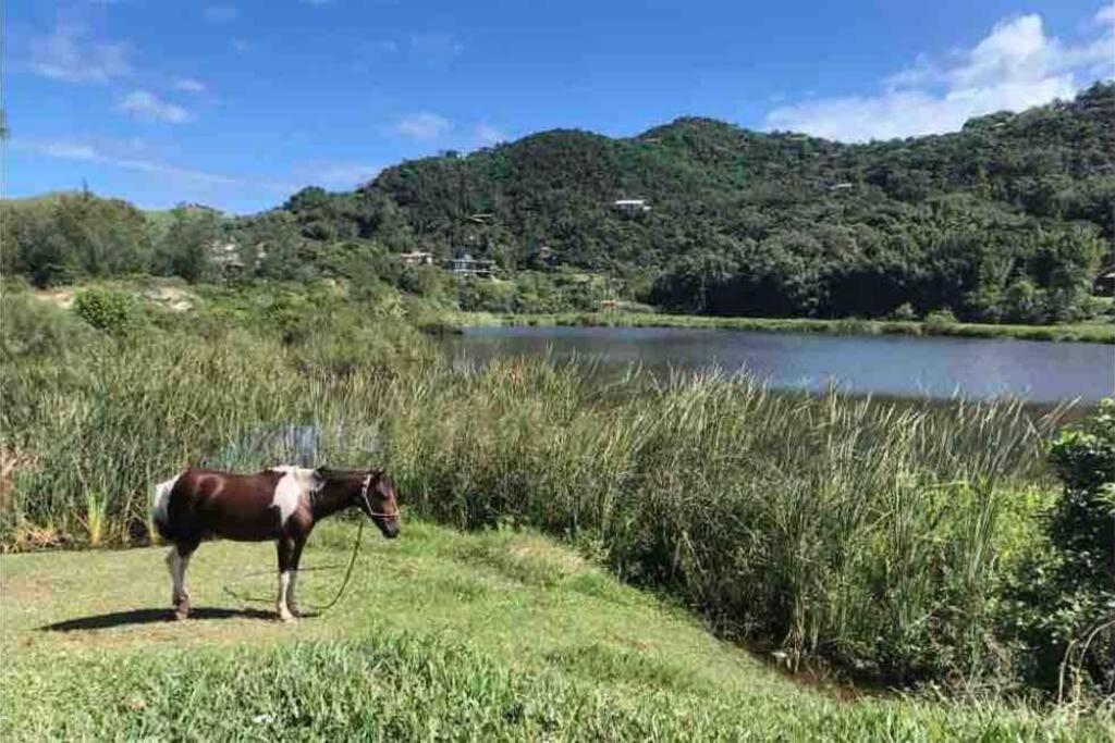 Casa NOVA, vista lagoa, piscina no condomínio