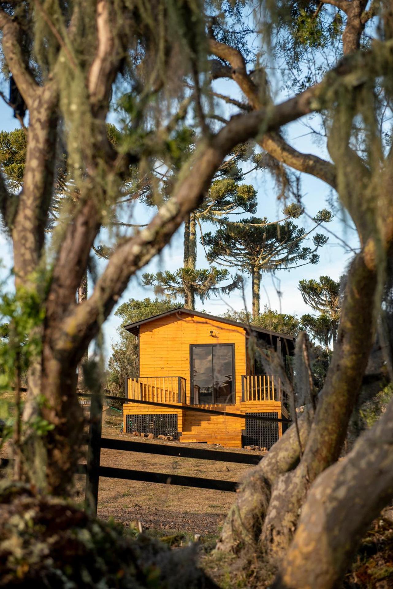 Cabanas River House Urubici - Chalé River House e Chalé Bela Vista