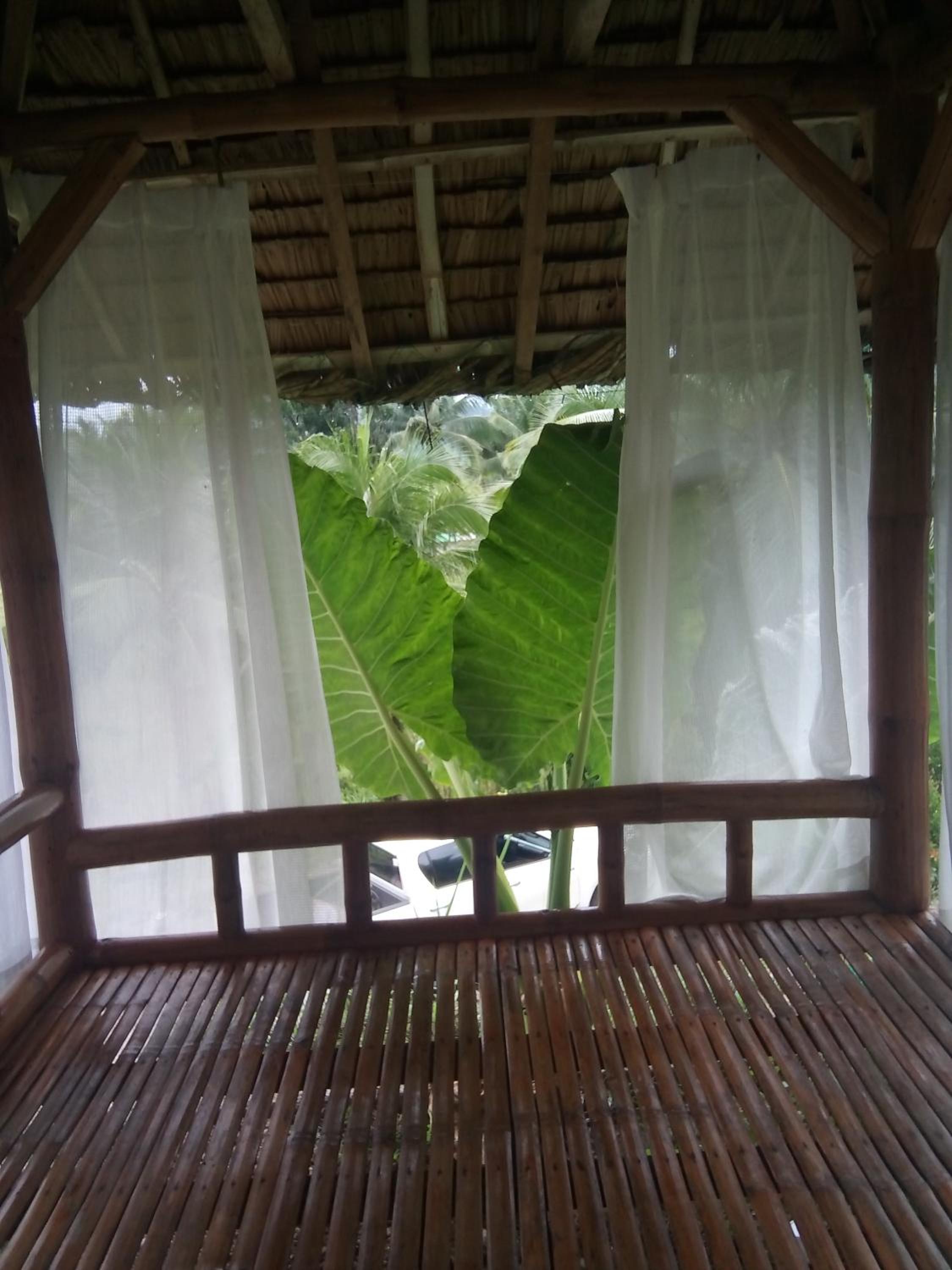 JKO woodland resort view 5